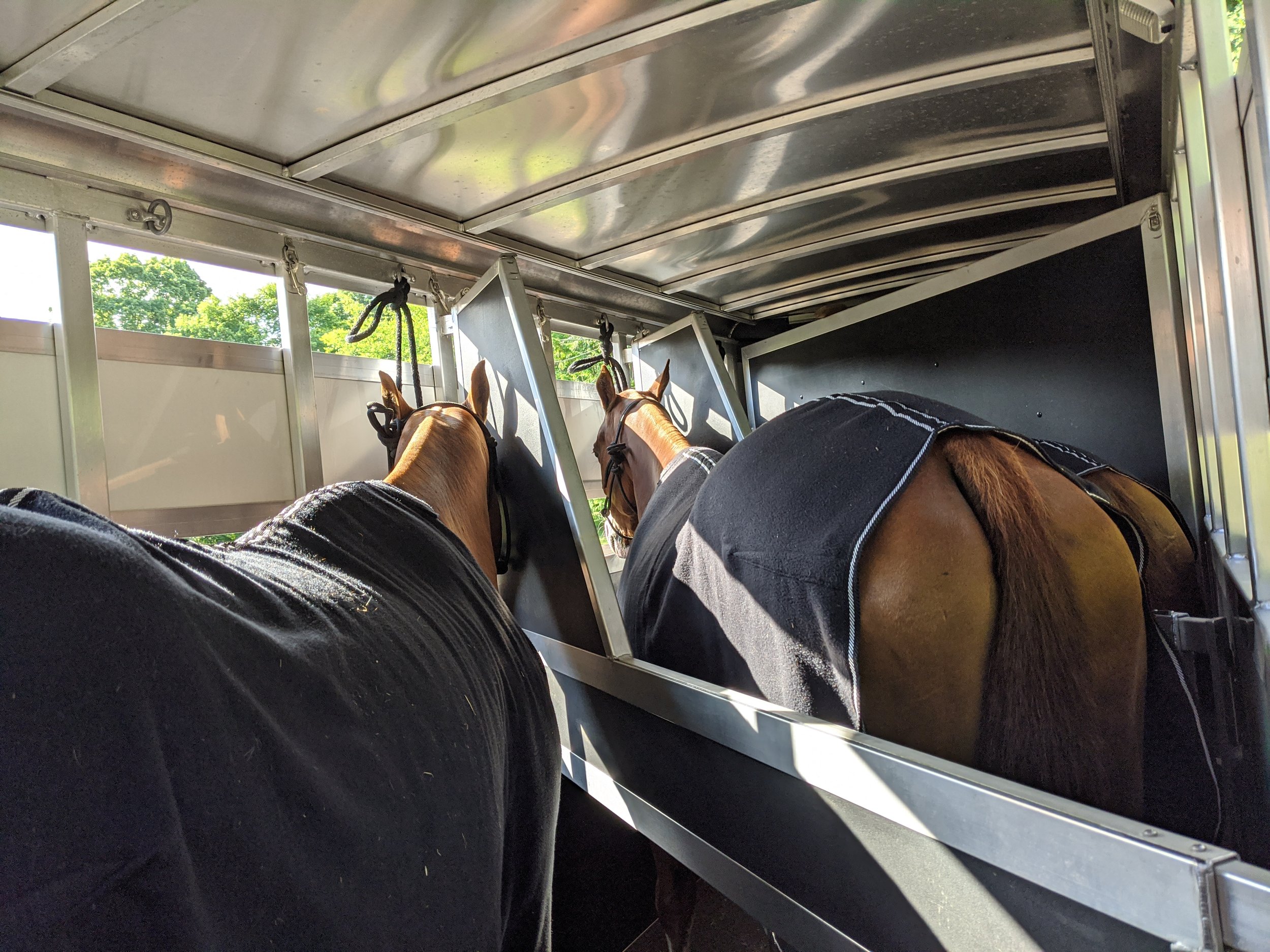 2020-06-14 08.50.30.jpg