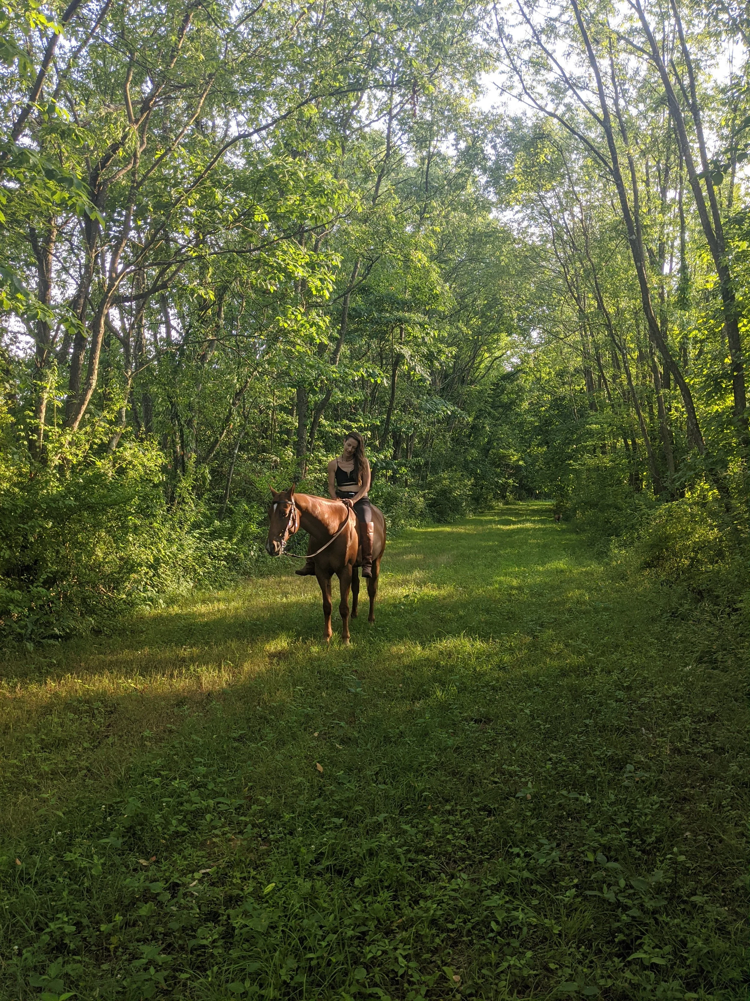 2020-07-17 19.16.30.jpg