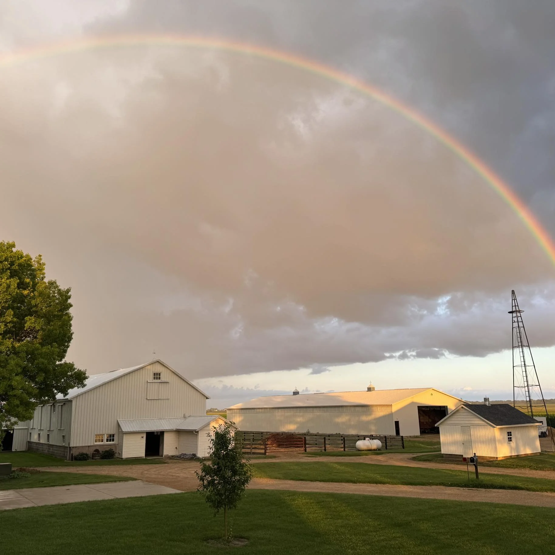 Farm buildings under a rainbow sky with clouds, green grass, a small tree, and a dirt driveway.