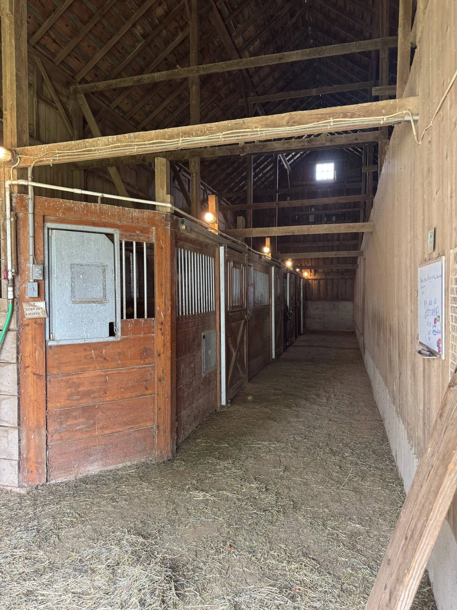 Inside a horse stable with wooden stalls along the side wall, some of the stall doors have metal bars, and there are hooks and a whiteboard on the wall. The ground is covered in hay and dirt, and the roof is high with exposed wooden beams and a small window allowing natural light.