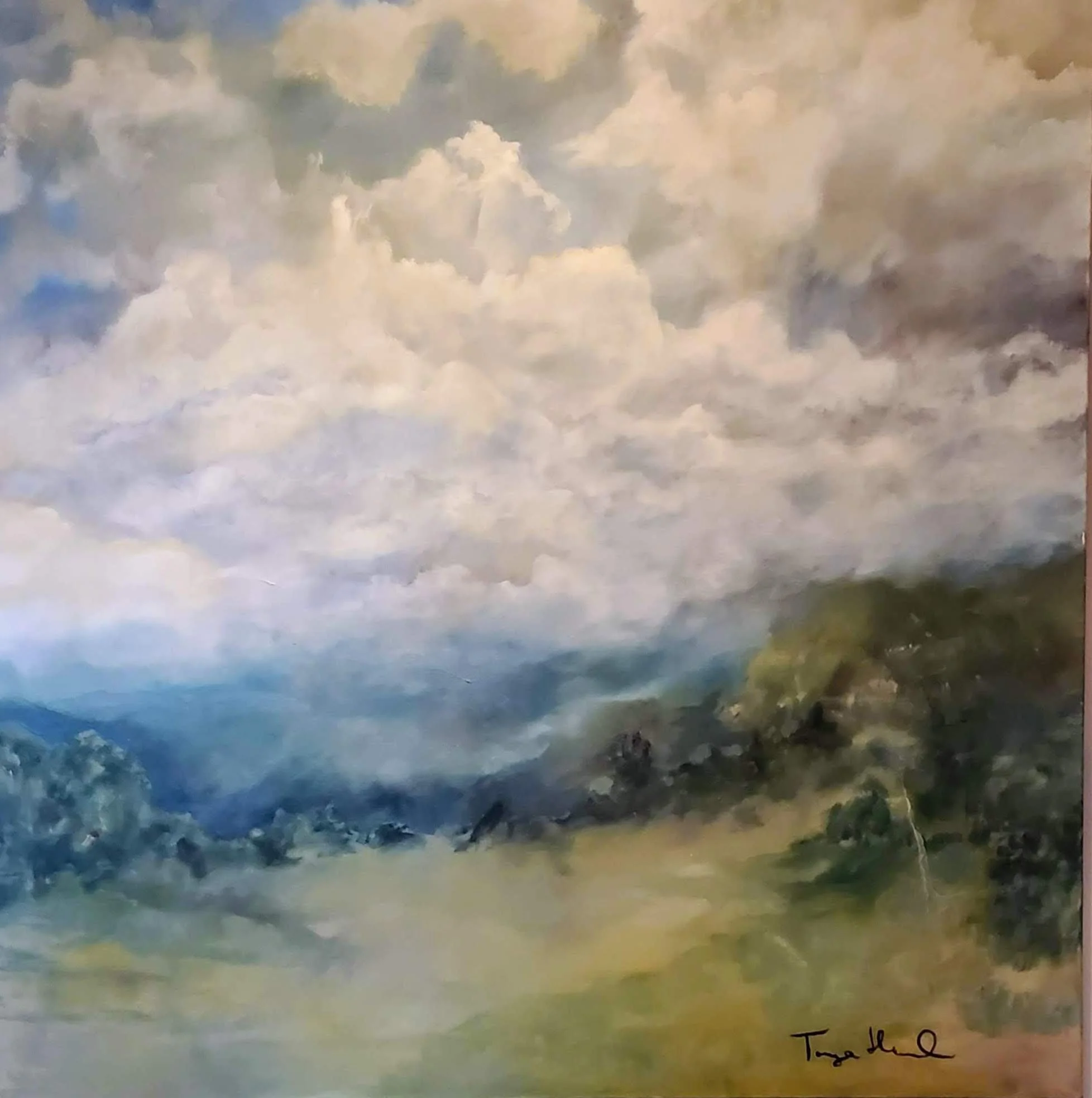 Tonya D Harwood