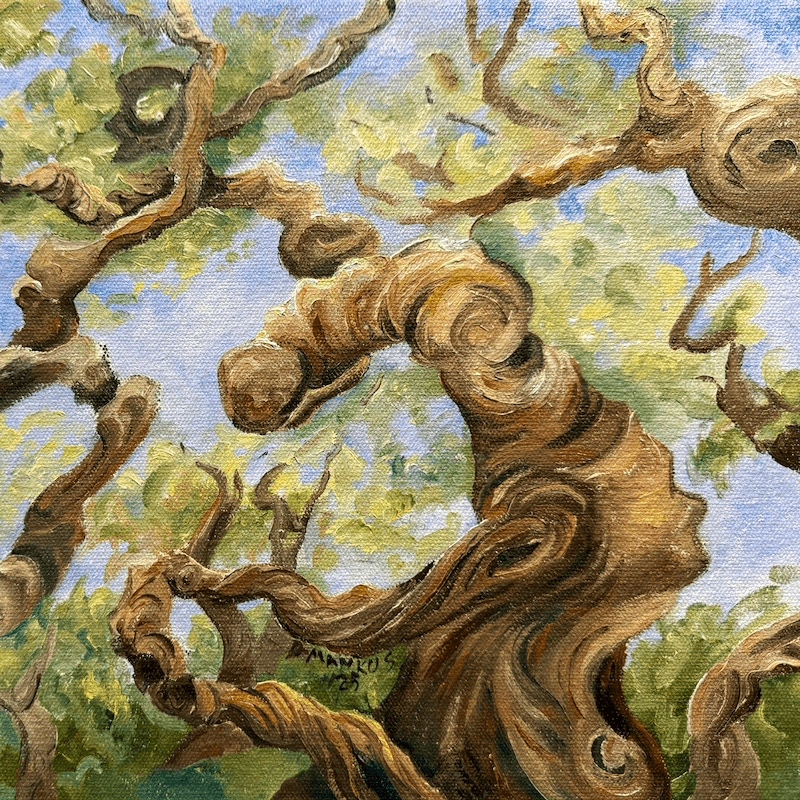 Twisted Tree Painting by Donna Mankus
