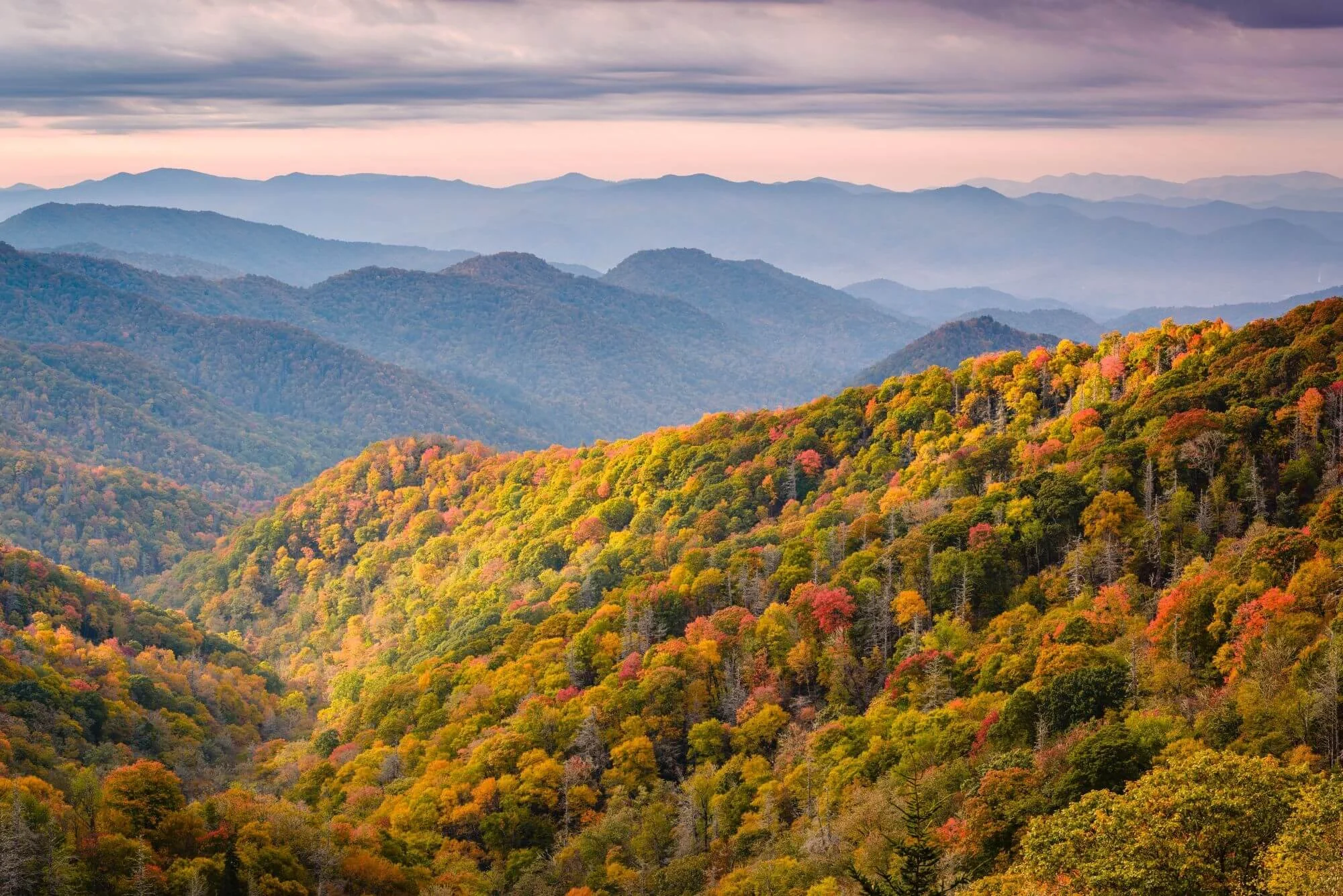 A landscape of rolling mountains covered with trees in autumn foliage with vibrant reds, oranges, yellows, and greens, under a cloudy sky.