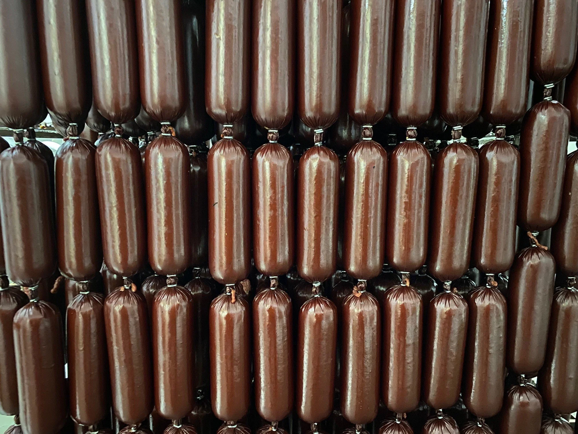 20211124 summer1.jpg