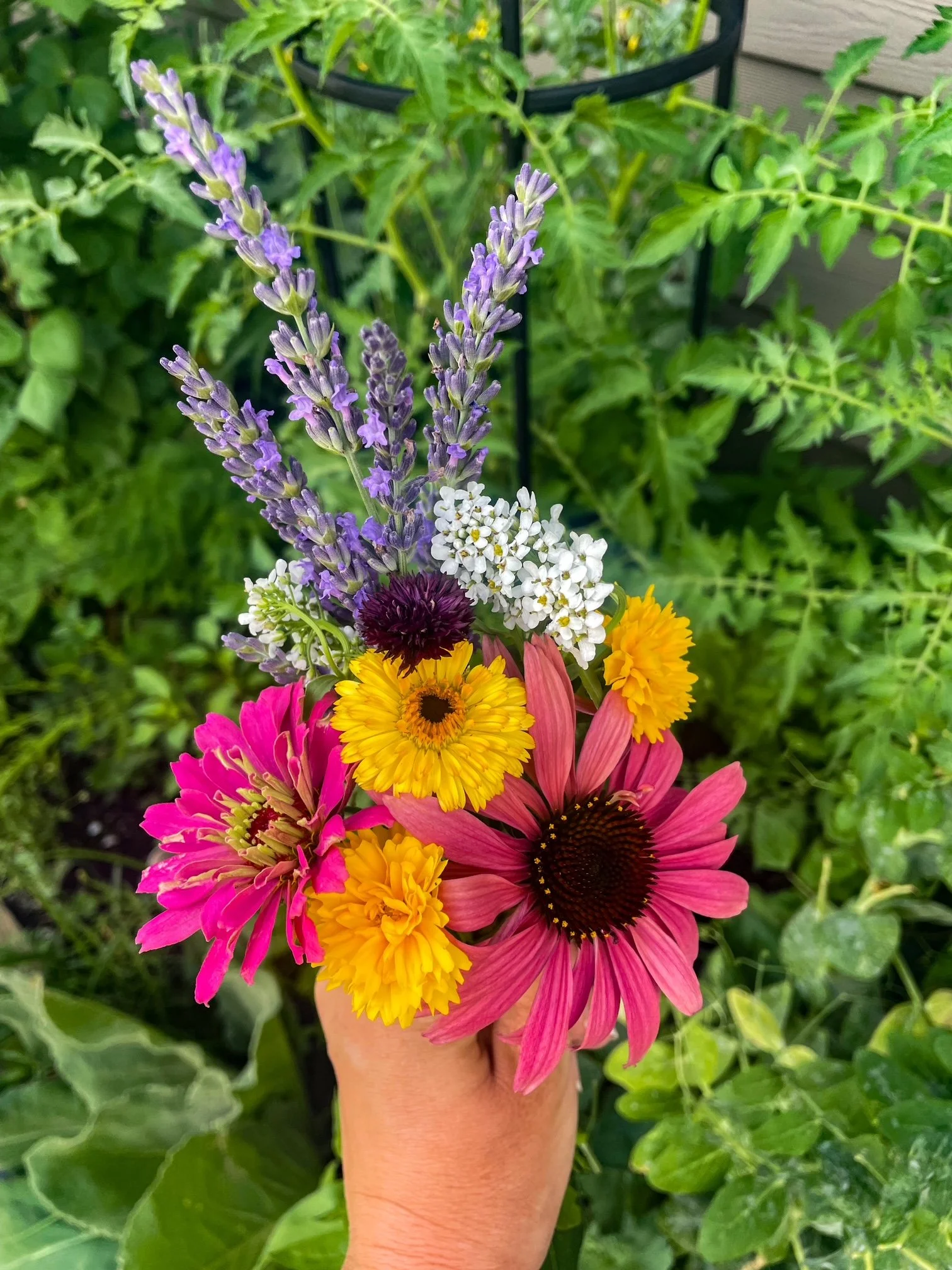 A hand holding a mixed bouquet of colorful flowers including purple lavender, white alyssum, yellow marigolds, and pink coneflowers against green leafy background.