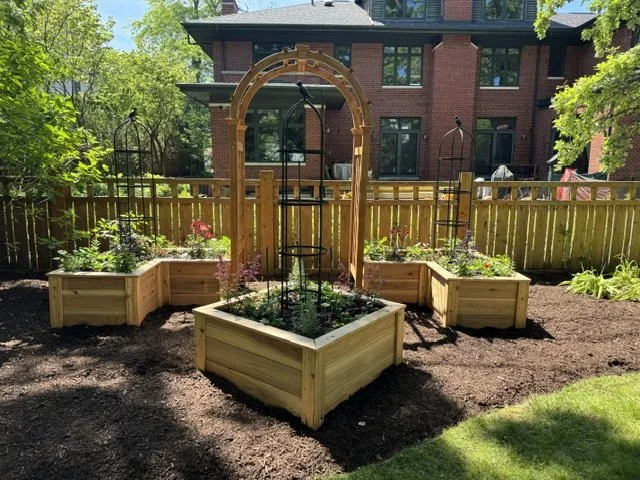 A backyard garden with wooden raised beds, an arbor, and black garden supports, surrounded by a wooden fence and a red brick house in the background.