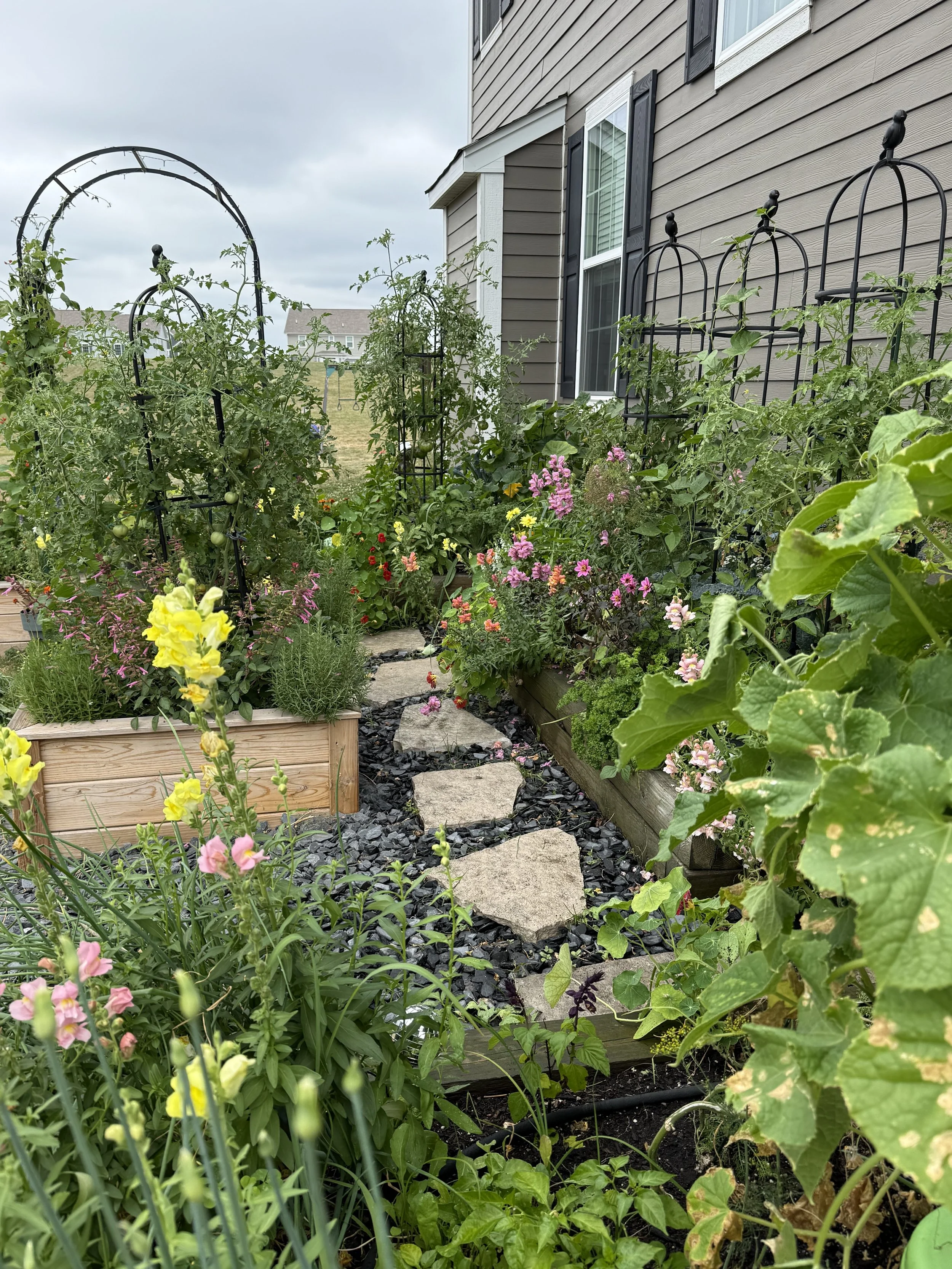 A garden with various plants and flowers along a pathway, with a house in the background under a cloudy sky.