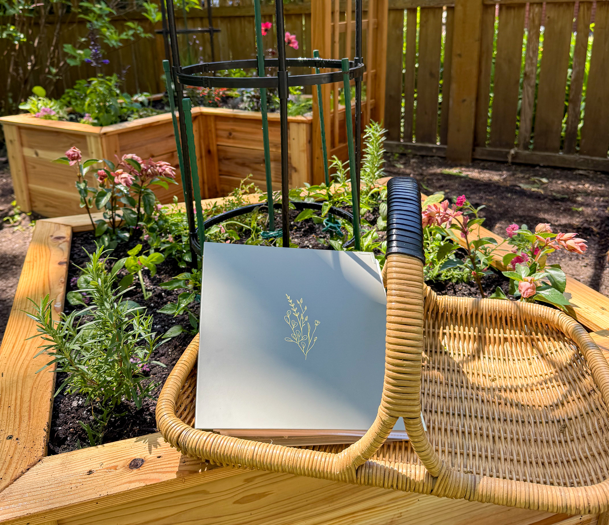 A garden with a wooden raised bed containing various green plants, a small gardening cart, and a wooden fence in the background.