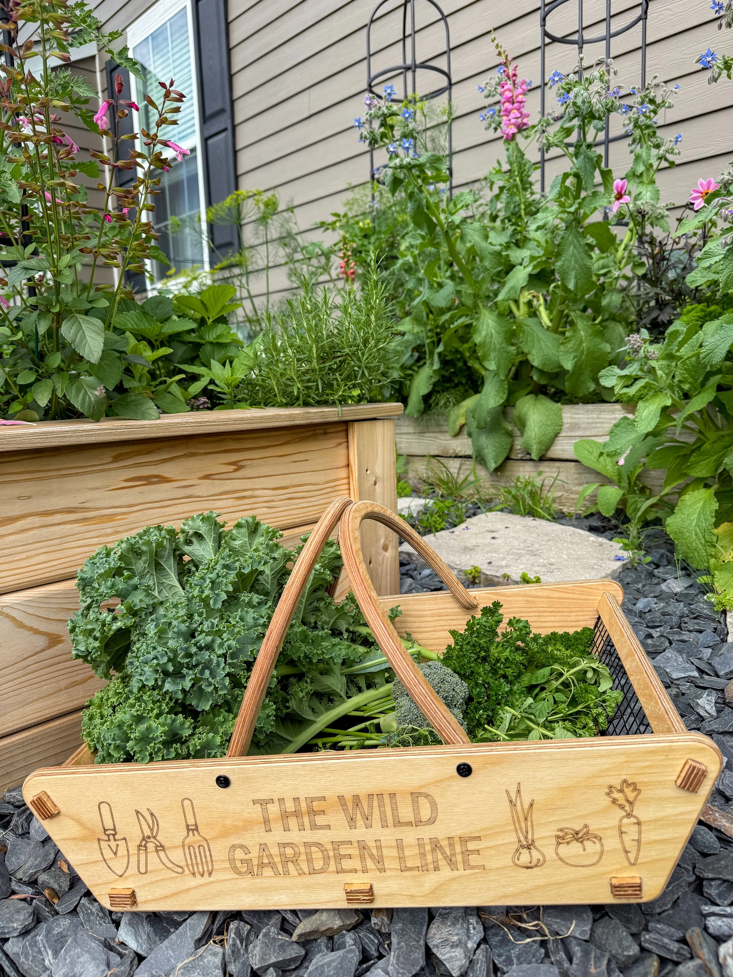 Wooden gardening sign reading 'DONT TOUCH THE WILD GARDEN LINE' with engraved illustrations of gardening tools and vegetables, placed among green leafy plants and vegetables, with a house siding background.