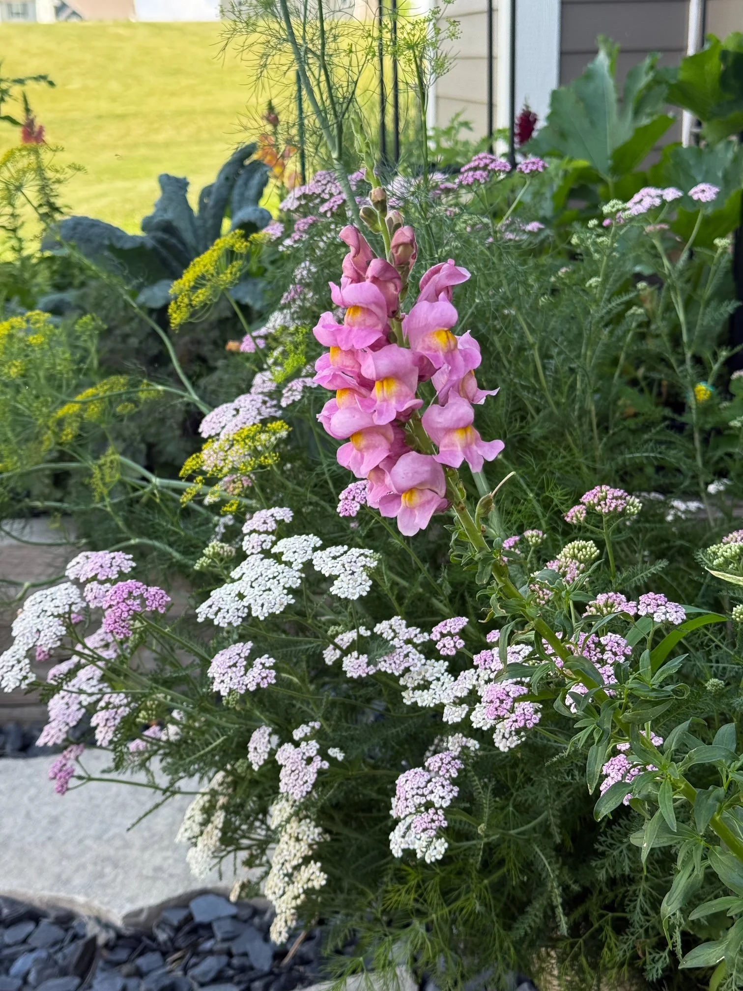 Various colorful flowers and greenery on a garden bed near a porch, with a yellow lawn visible in the background.