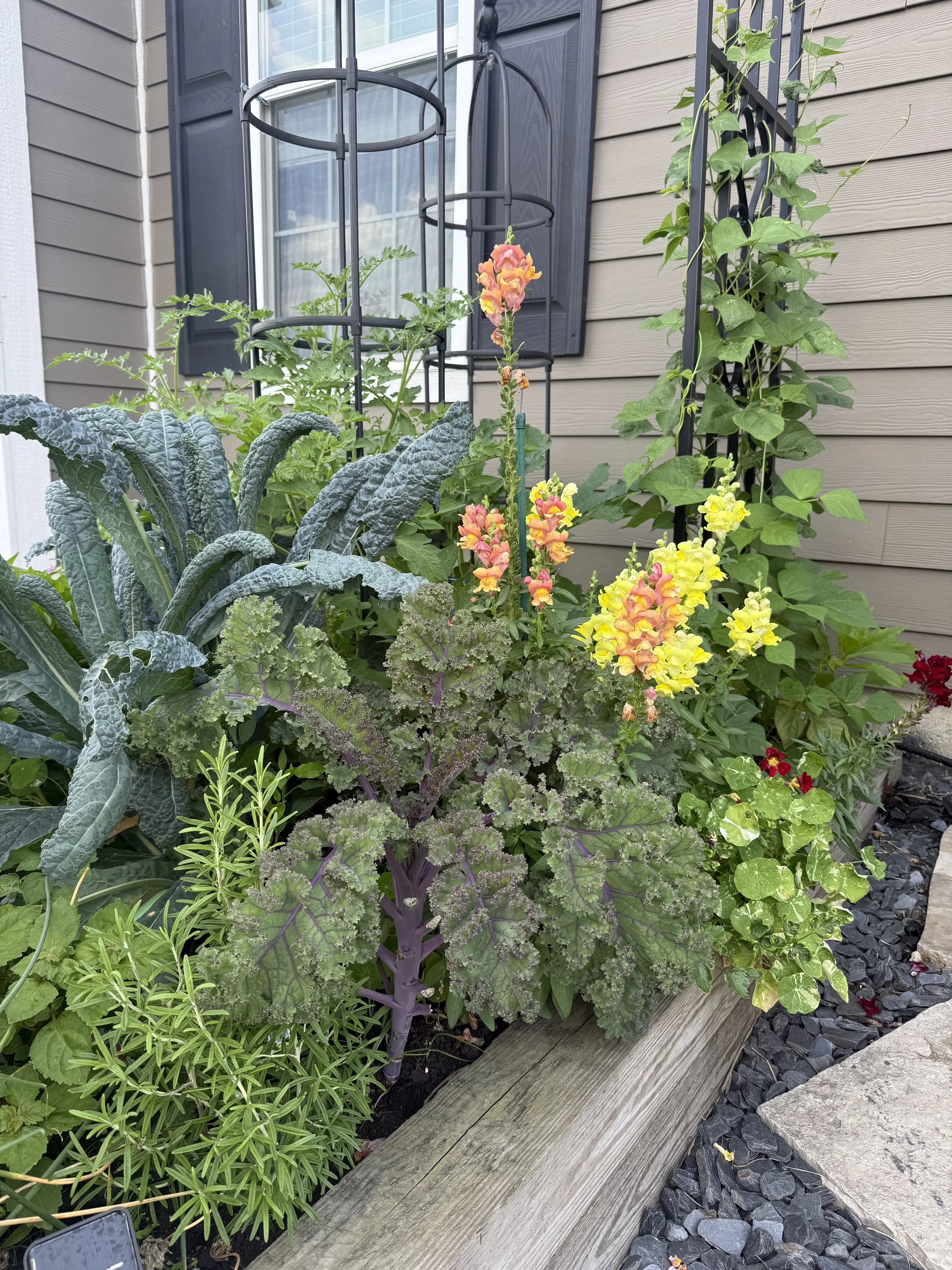 A raised garden bed with various blooming flowers and lush green leafy plants beside a house with beige siding, a window with dark shutters, and decorative black trellas.