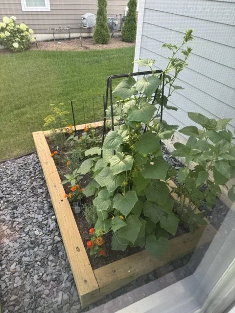 Vegetable garden bed with climbing plants and flowers outside next to a house.