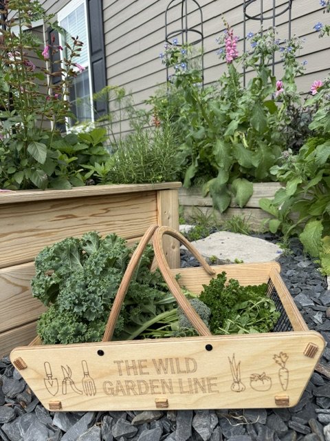 Wooden basket filled with various leafy greens and herbs in a garden with flowering plants and a house wall in the background.