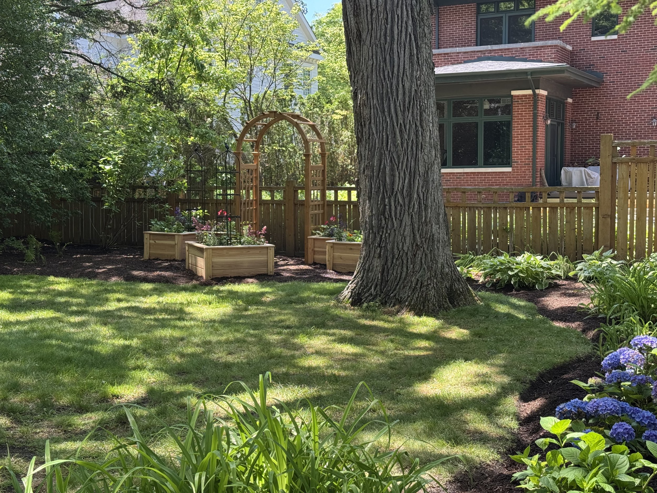 A backyard garden with flower beds, a large tree in the foreground, a wooden arch, and a brick house with large windows.