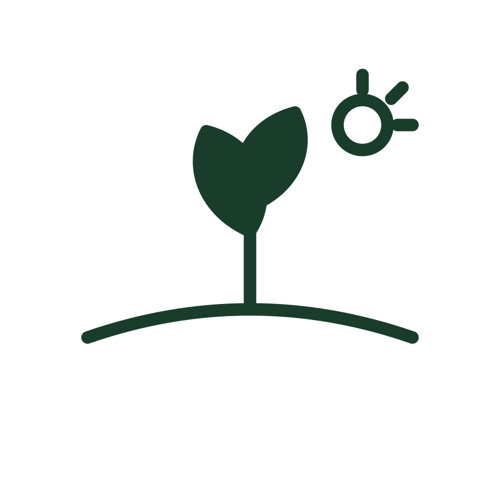 Simple line art icon of a plant growing on the ground with a sun in the background.