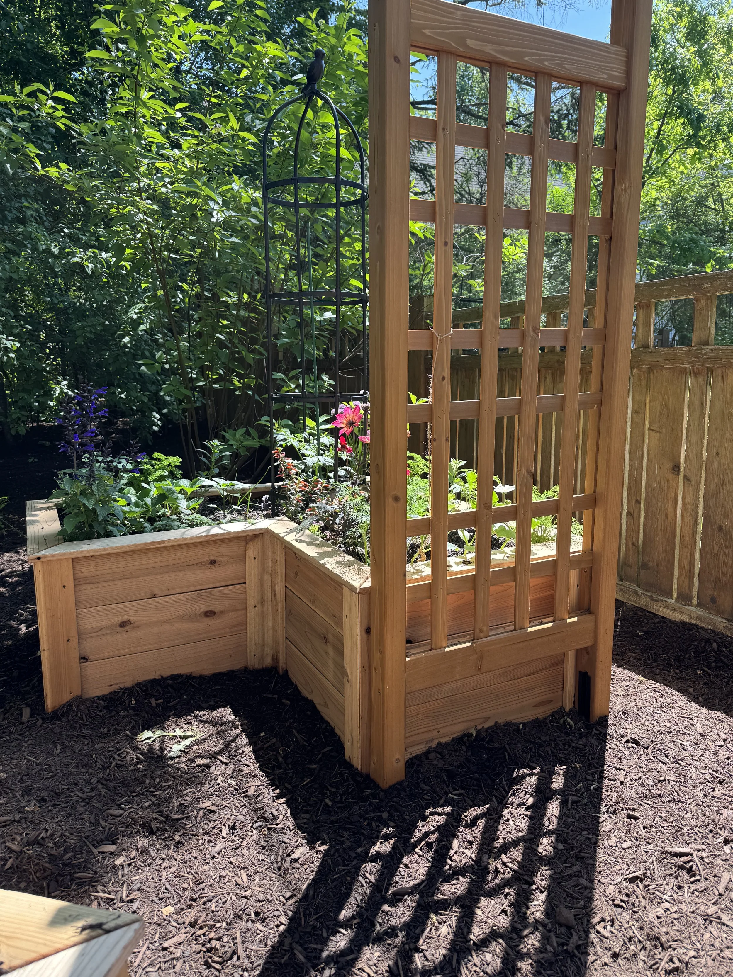 A wooden garden trellis with a black metal plant cage attached, surrounded by green foliage and flowers, with a wooden fence and trees in the background.