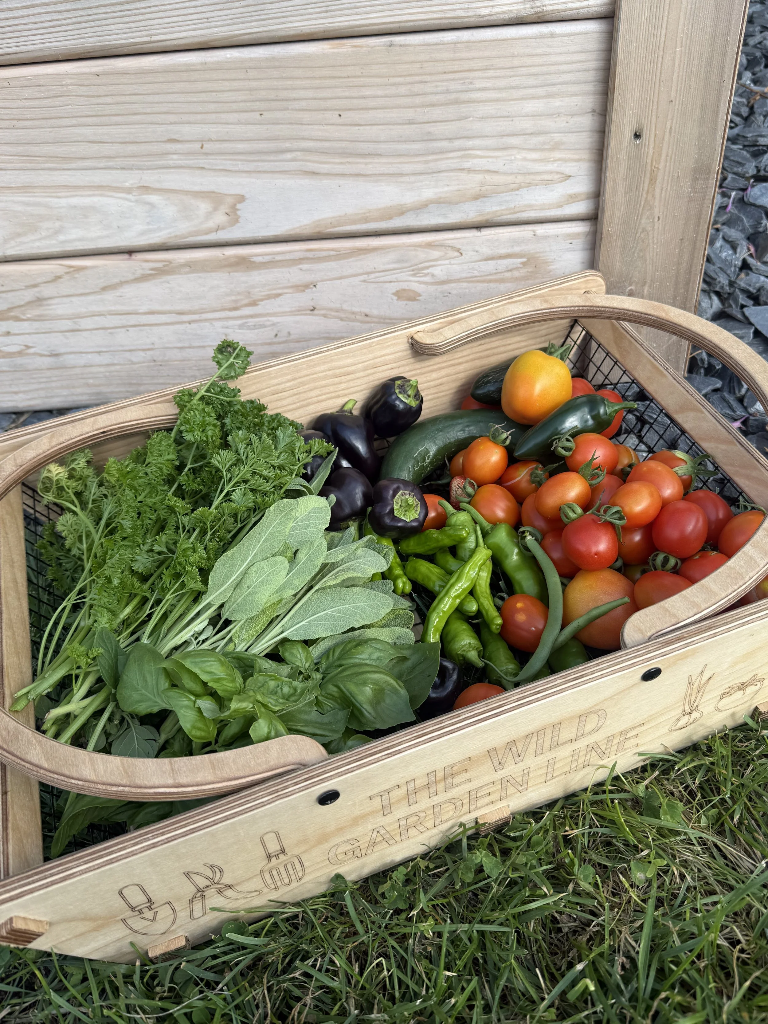 Wooden crate filled with fresh vegetables, including cherry tomatoes, cucumbers, peppers, eggplant, and herbs, on grass.