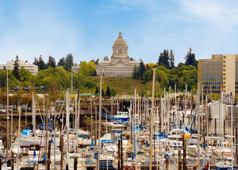 View of a marina with numerous boats docked, a hillside with trees, and a prominent government building with a dome in the background.