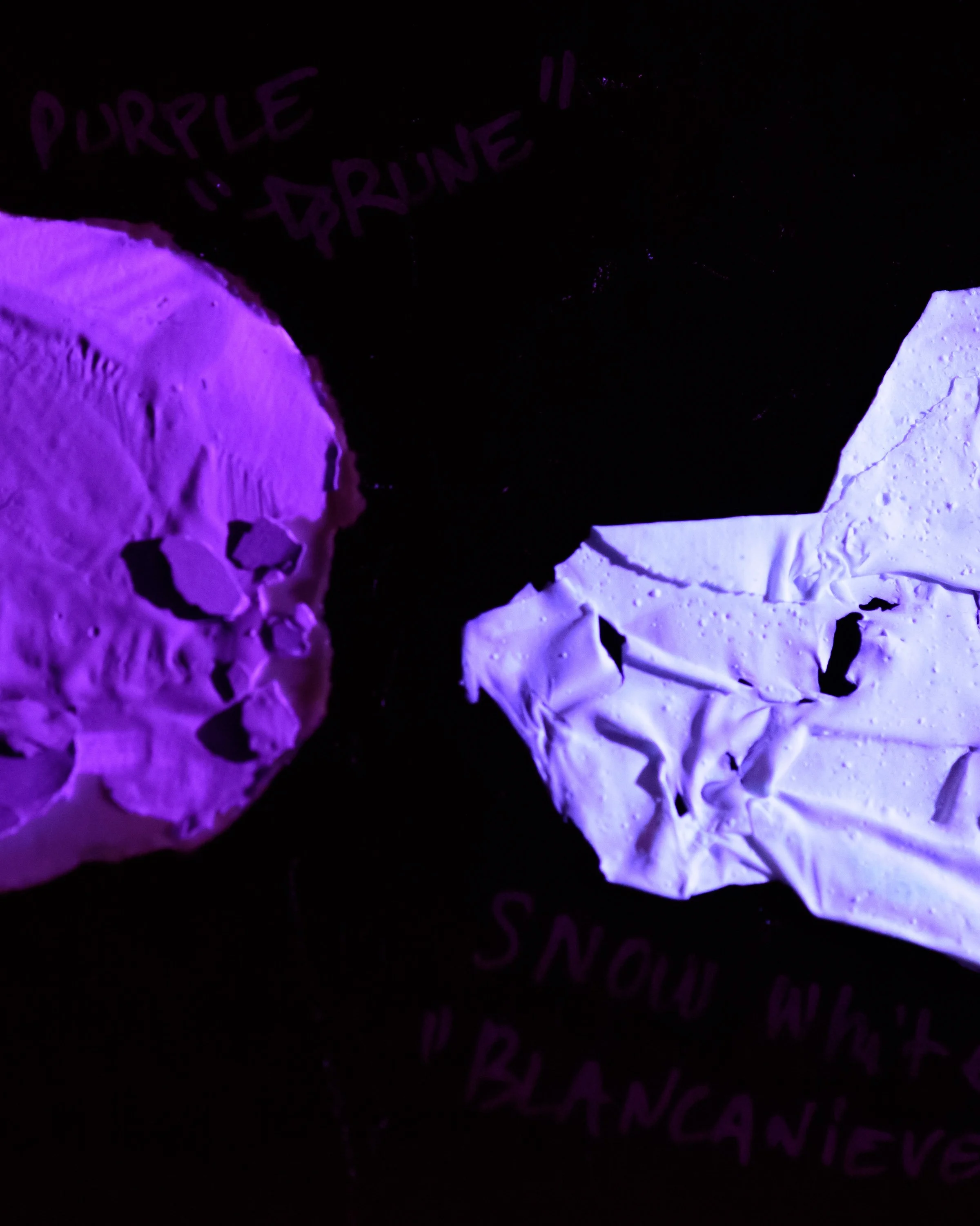 ninichronic_dm_p1_08_7397.jpg