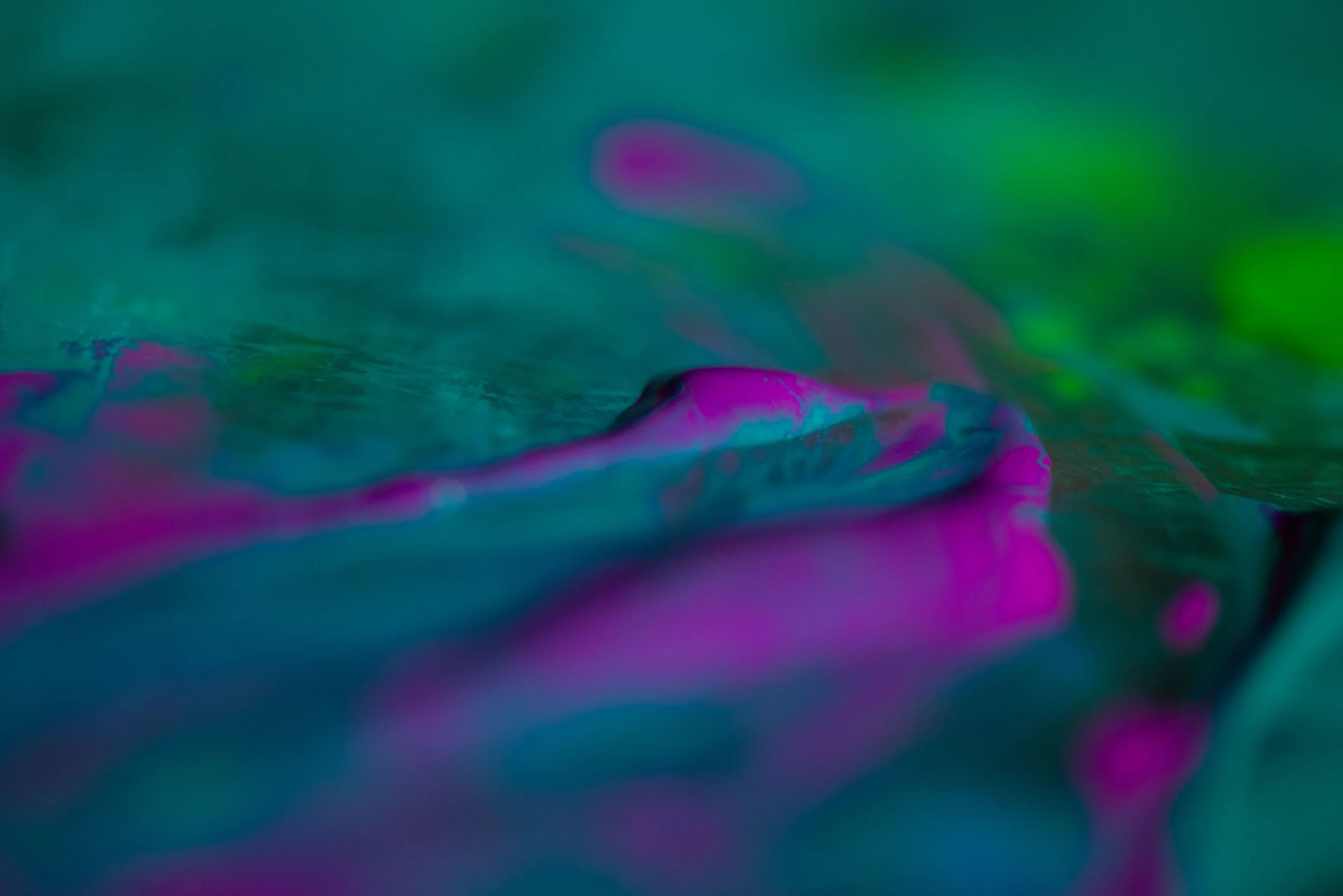 DSC_0522.jpg