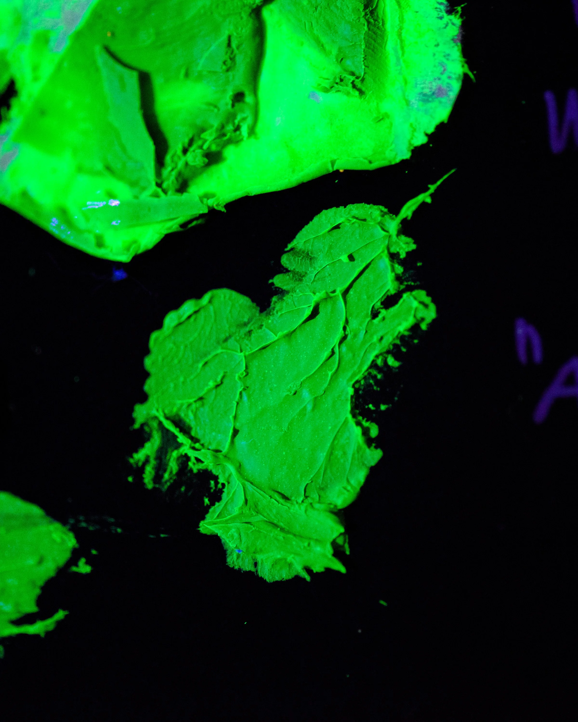 ninichronic_dm_p4_22_3445.jpg