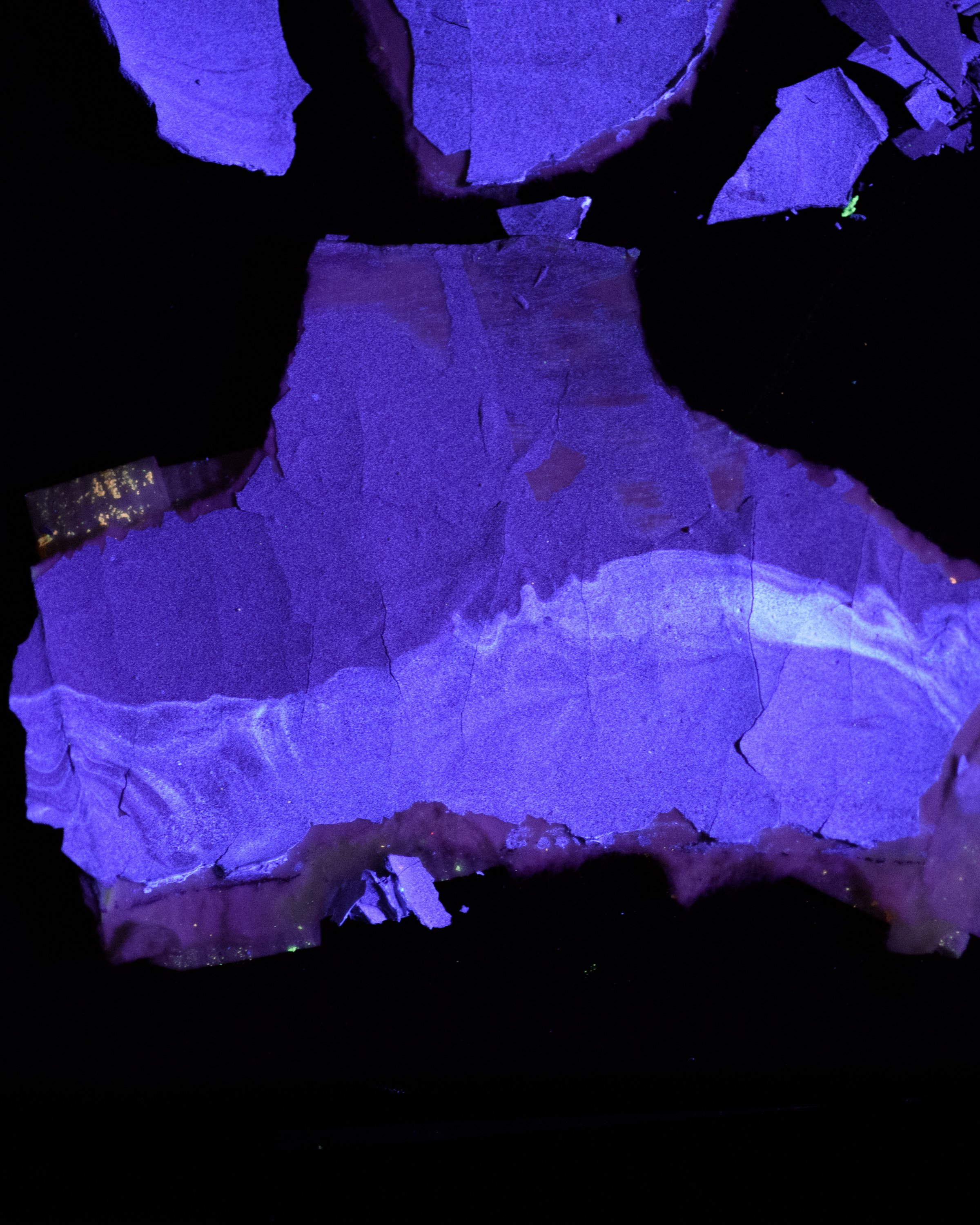 ninichronic_dm_p5_26_7426.jpg
