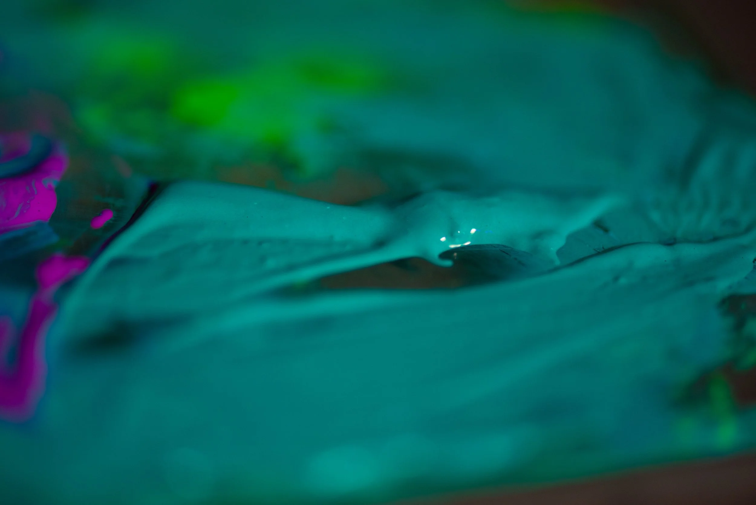 DSC_0526.jpg