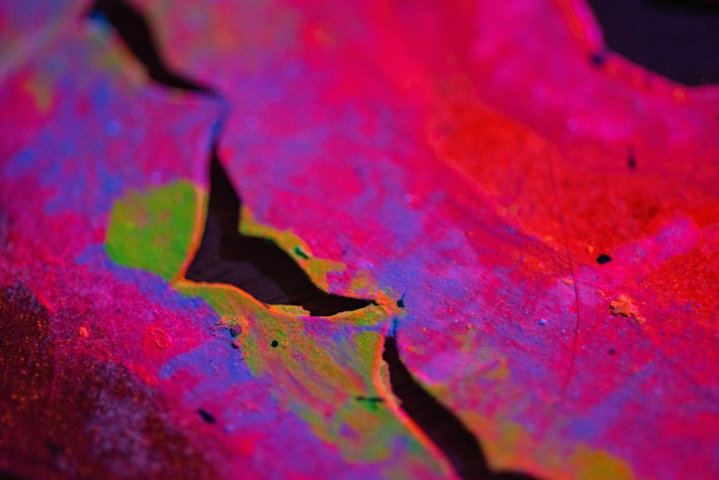 DSC_8292.jpg