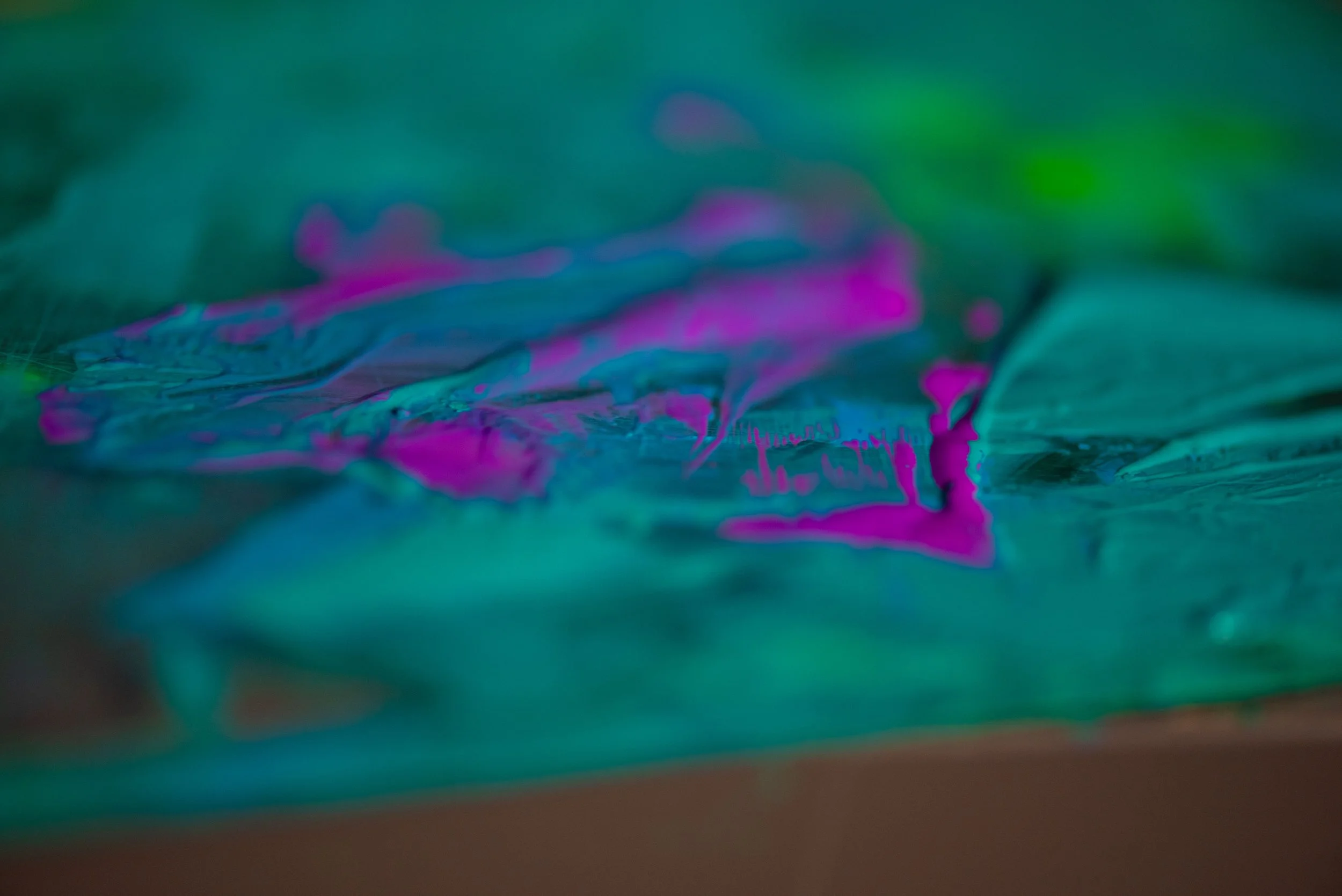 DSC_0523.jpg