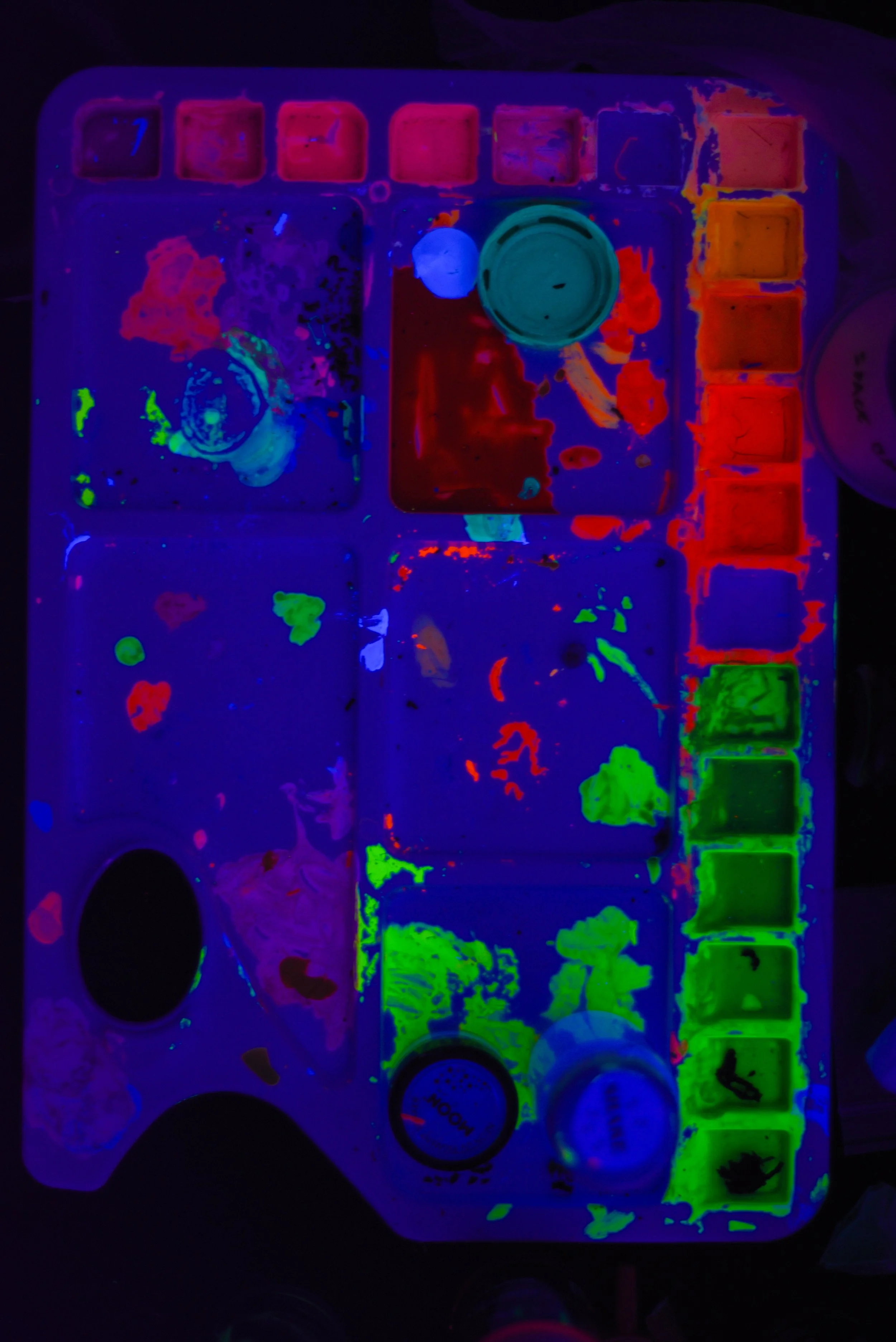 NCK_0296.jpg