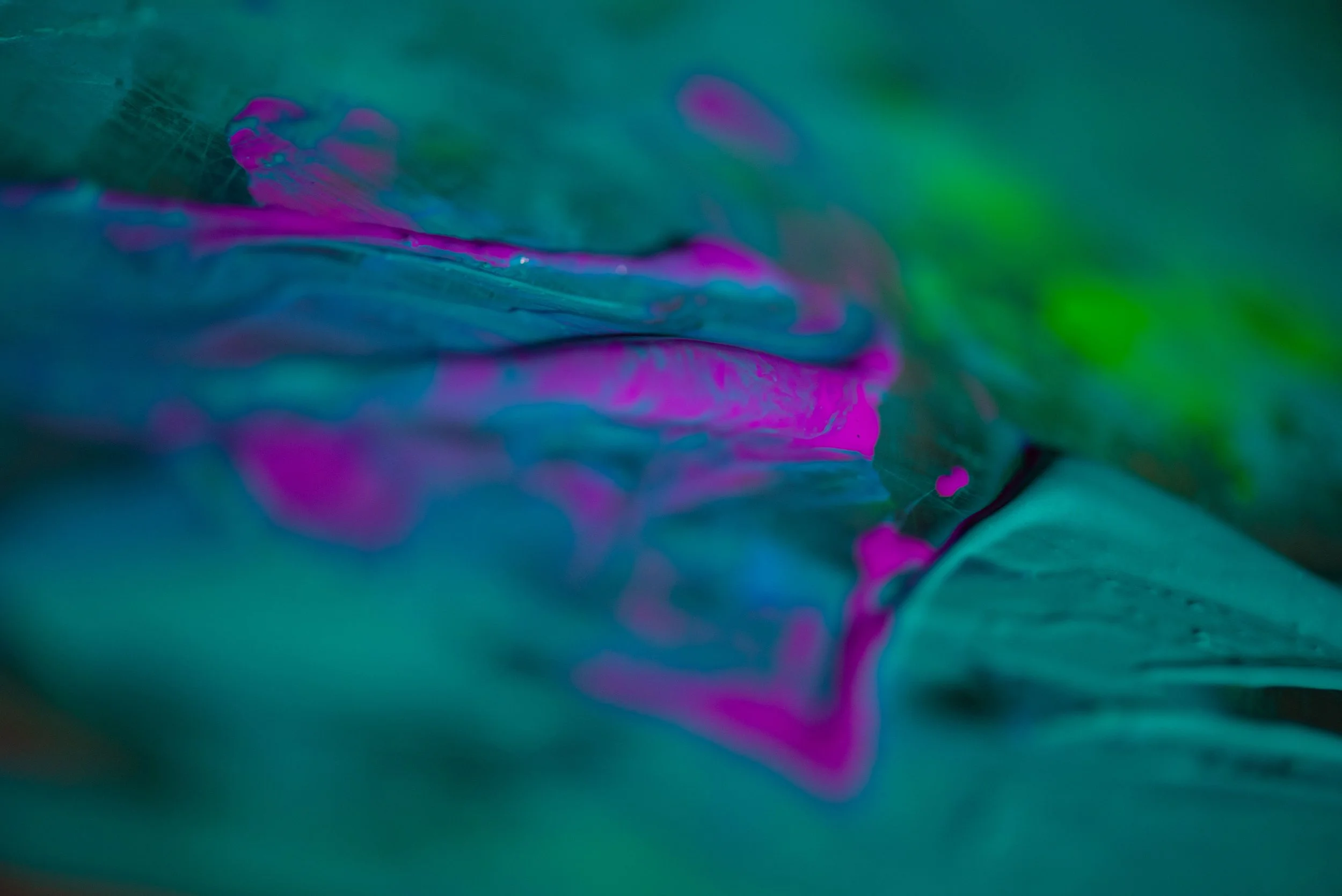 DSC_0517.jpg