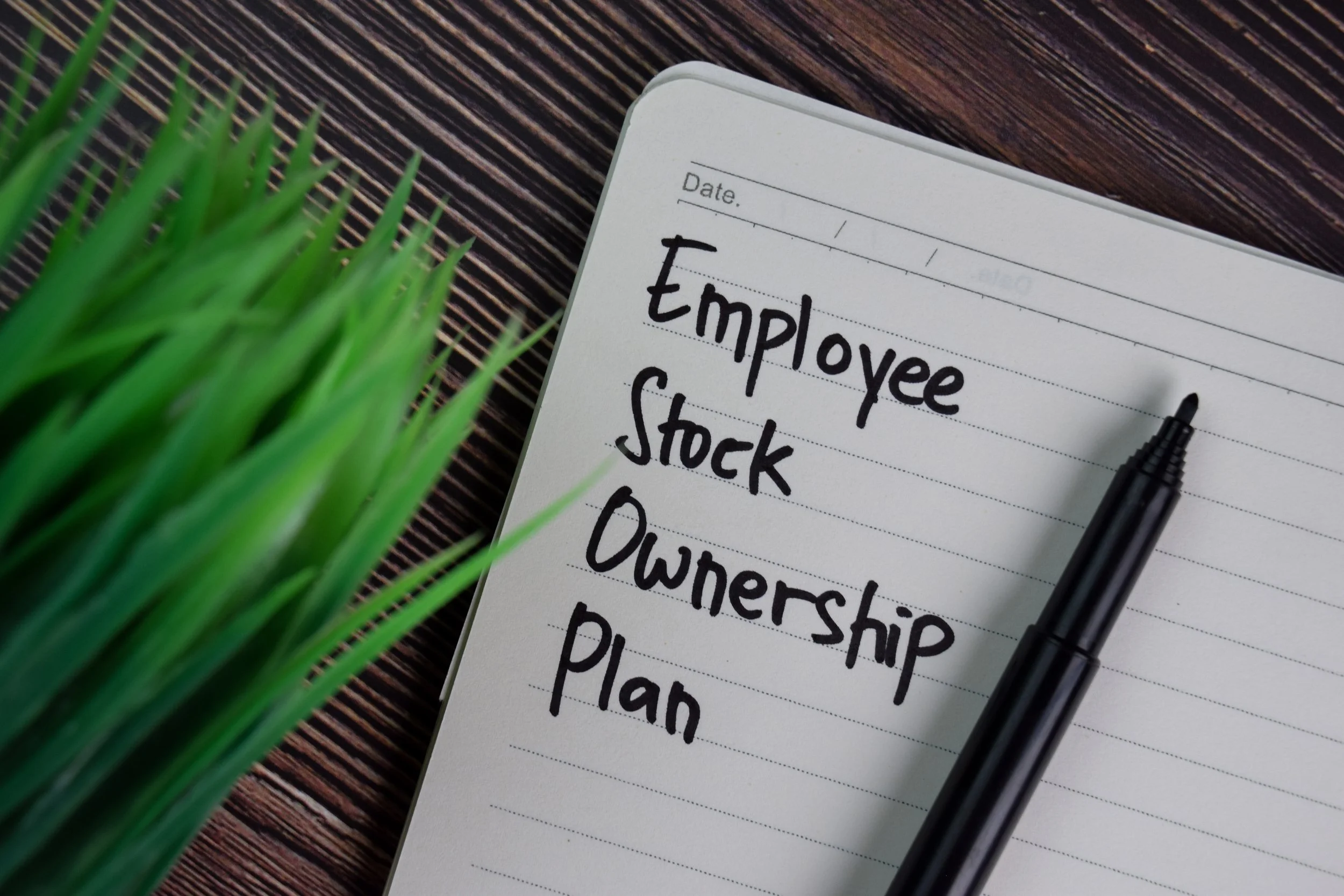 A close-up of a white notepad with handwritten words such as 'Employee,' 'Stock,' and 'Ownership.' A black pen rests on the notepad. To the left, there are green grass-like plants partially visible. The notepad is on a dark, textured wooden surface.