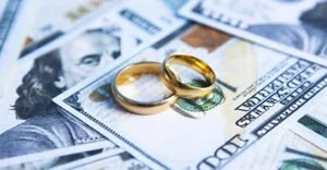 Maginnis v. Maginnis - Court addresses apportionment of goodwill in divorce