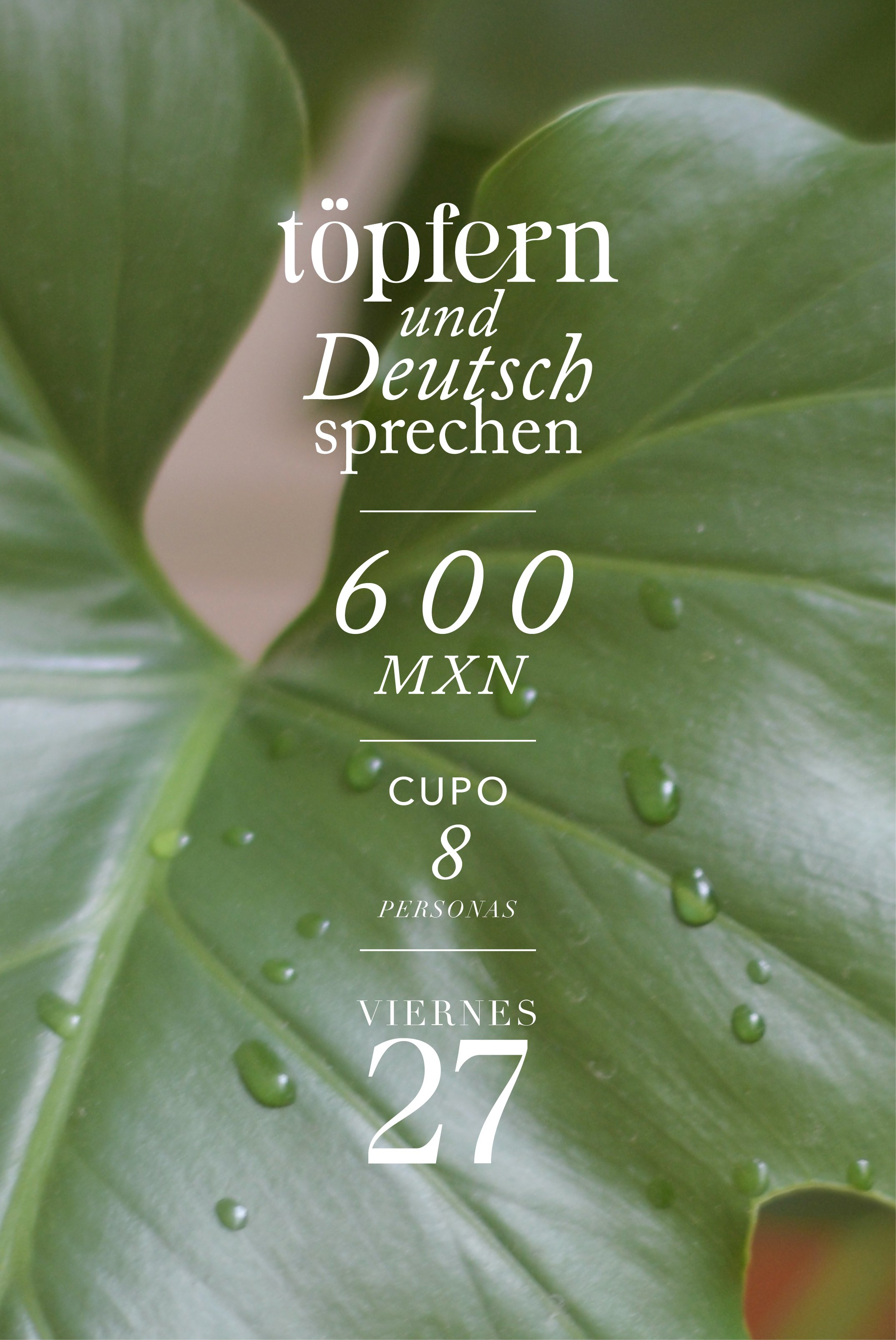 A close-up of green leaves with water droplets overlaid with white text in Spanish, indicating the date and time: 'Friday, the 27th of October, 2023'. The text mentions topics related to tops, speaking German, and groups of eight people.