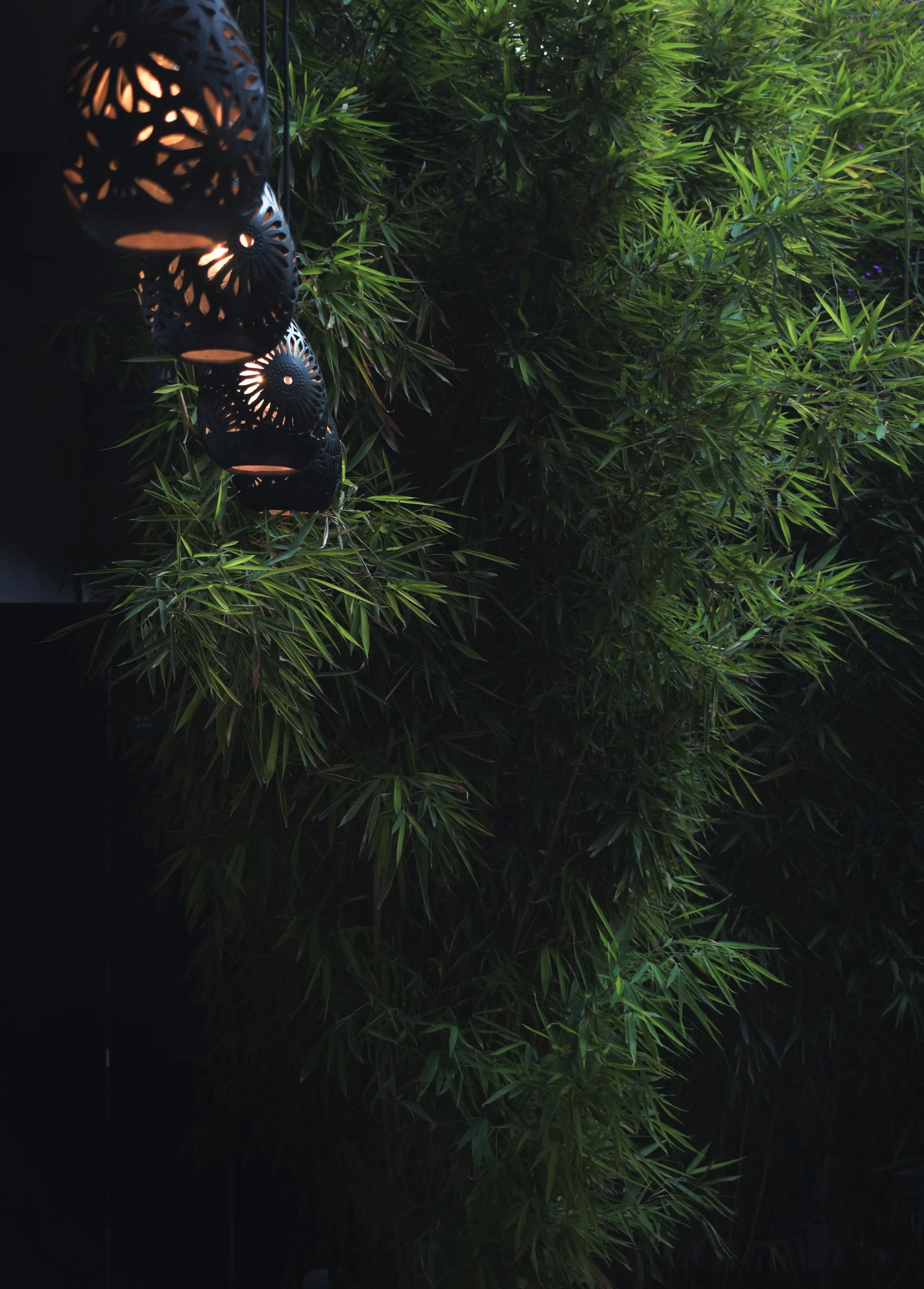 A string of black decorative lanterns hanging amongst lush green foliage, with warm light emanating from inside each lantern.