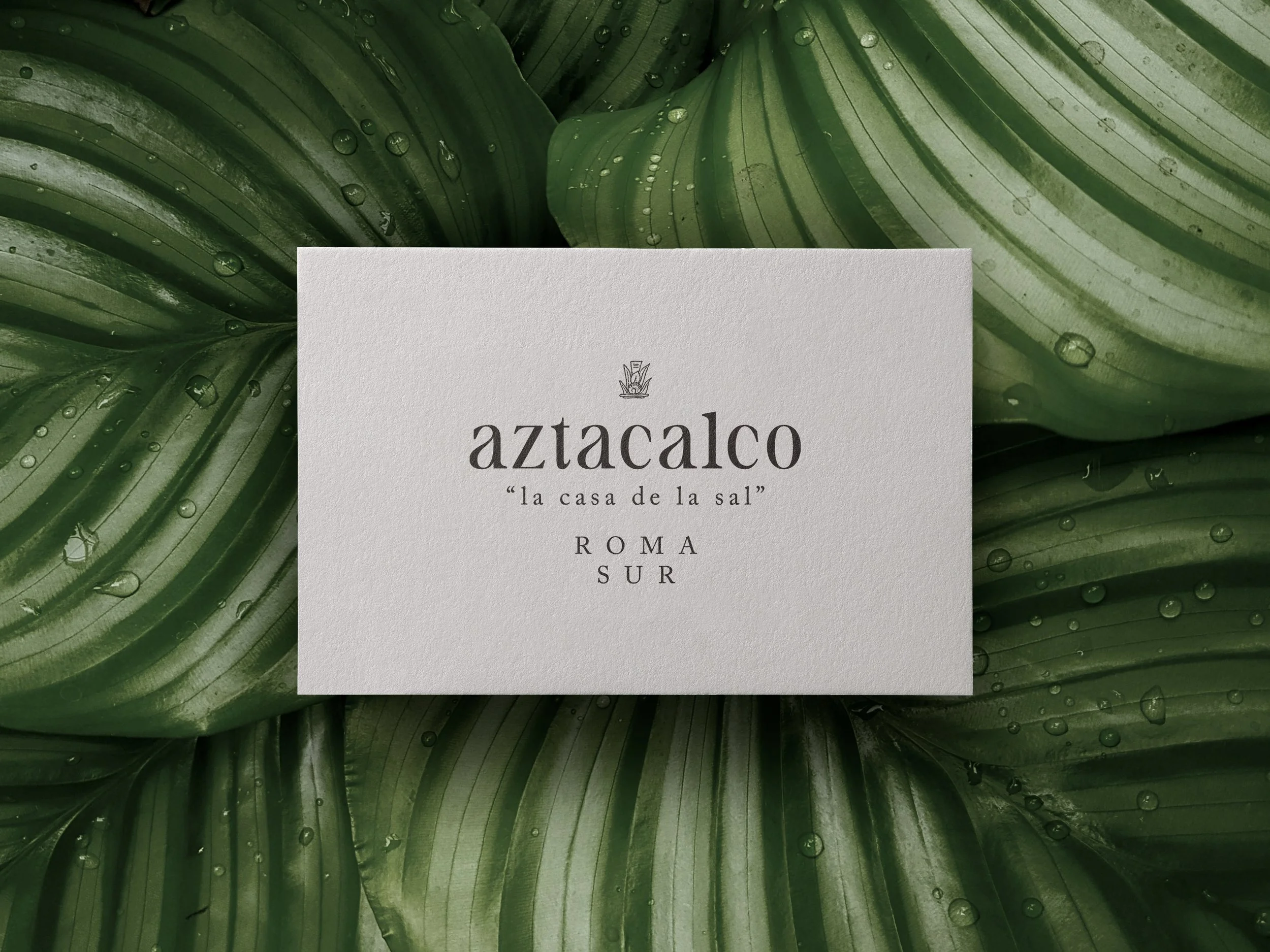 A white card with the word 'azacalco' and a subtitle 'la casa de la sal' placed on green tropical leaves with water droplets.