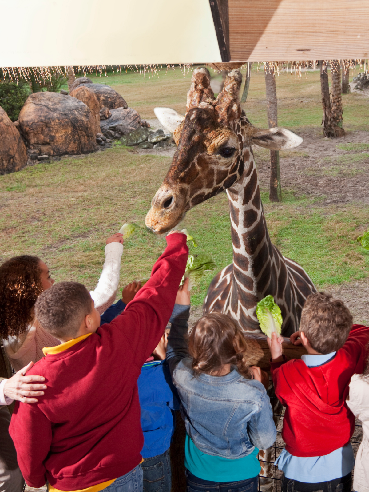 Why More Tampa Bay Families Are Bringing a Sitter to ZooTampa