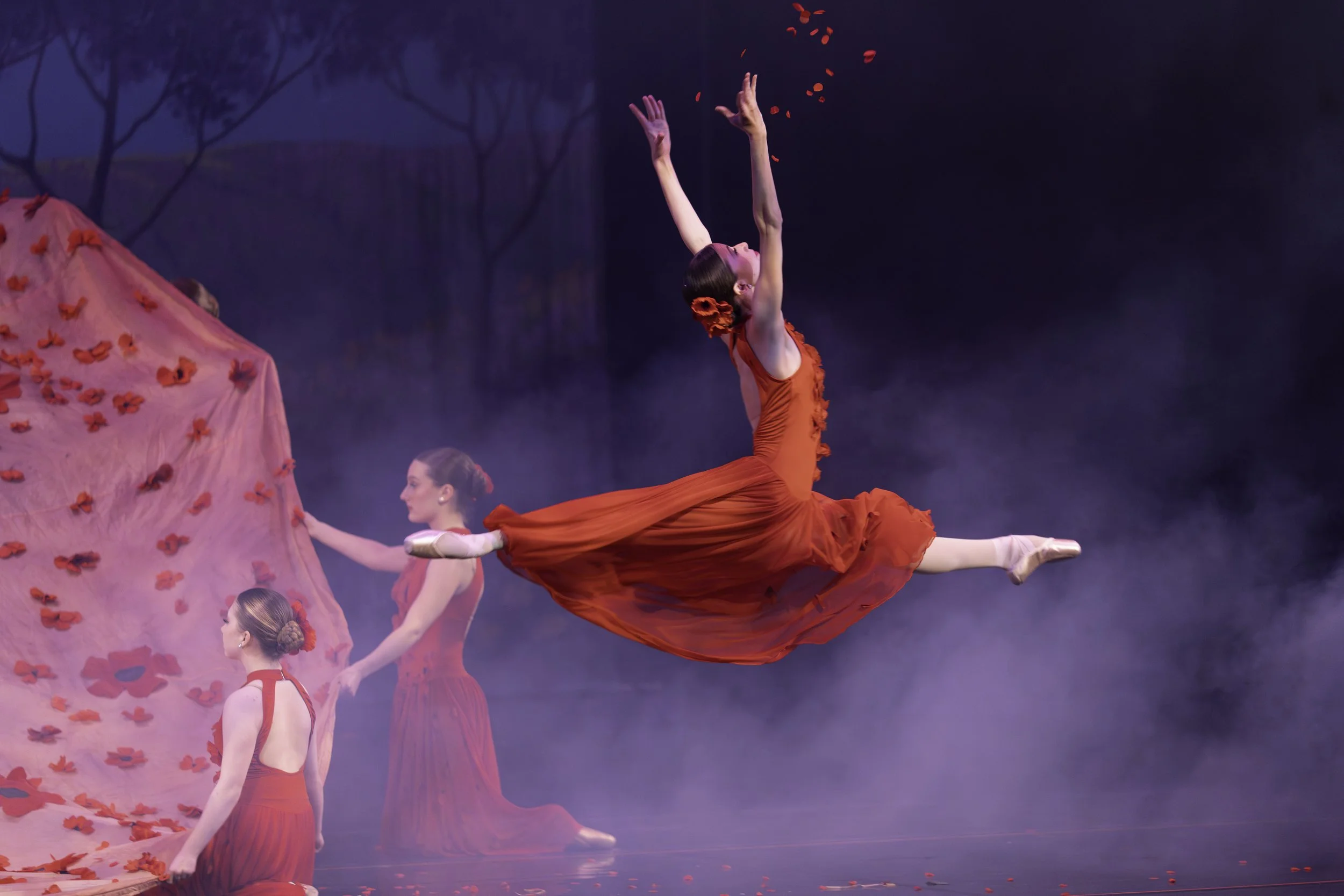 Ballet dancers in red costumes perform on stage, with one dancer leaping gracefully mid-air and others holding a large pink fabric decorated with red flower petals.