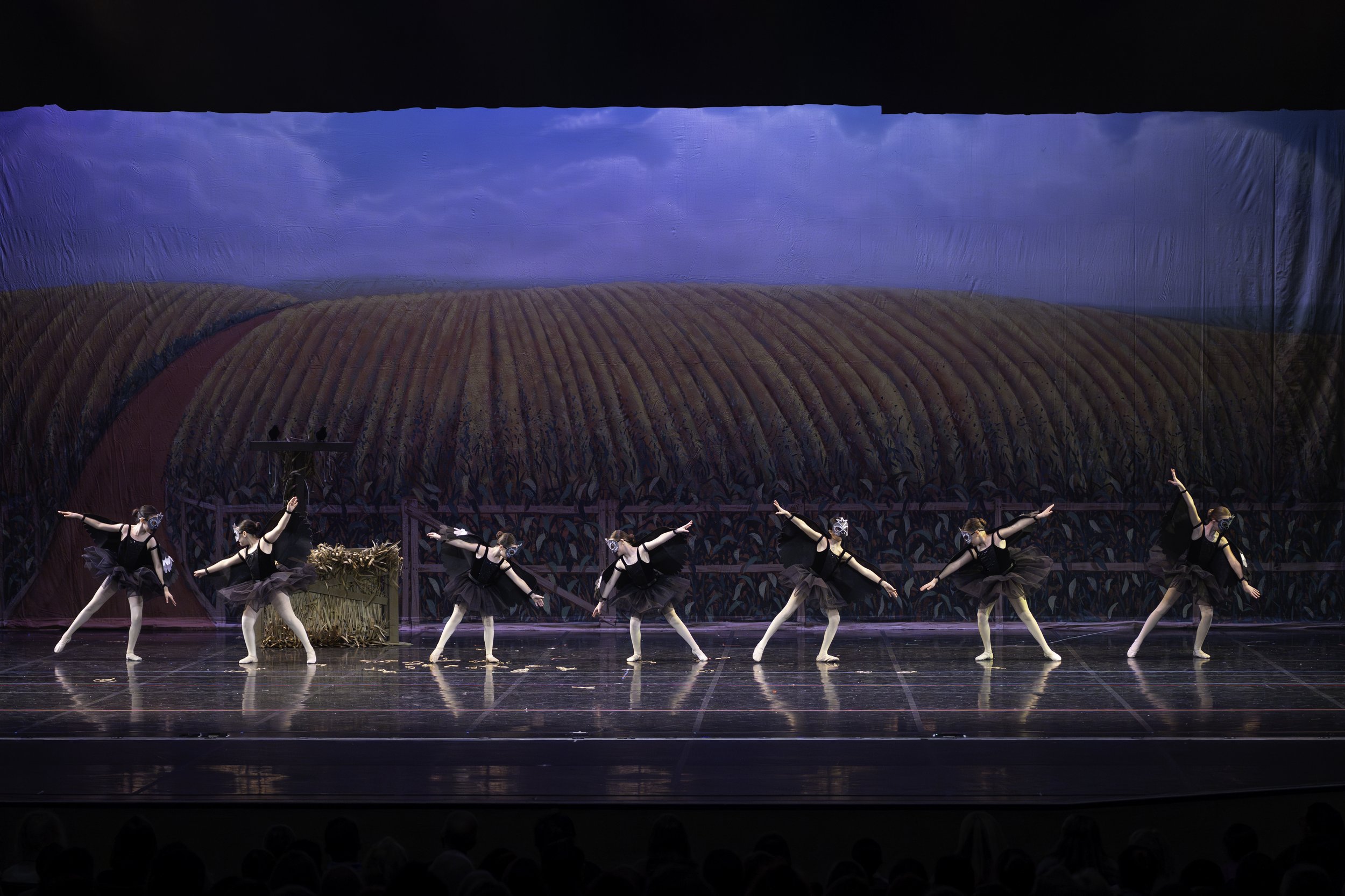 A group of six ballet dancers dressed in black tutus and wearing masks performs on stage with a painted backdrop of a field and blue sky, resembling a scene from 'The Nutcracker'.