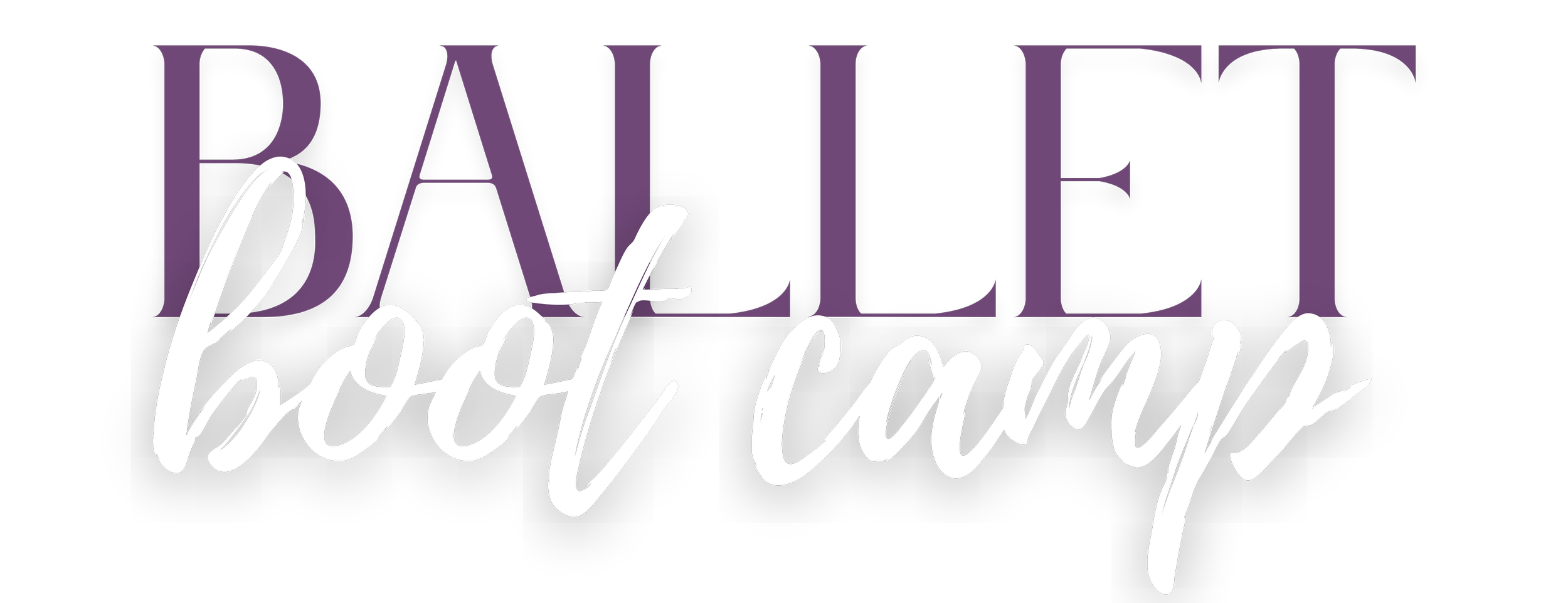Logo for Bailey Boot Camp, with the words 'BAILEY' in purple and 'boot camp' in white handwritten script.