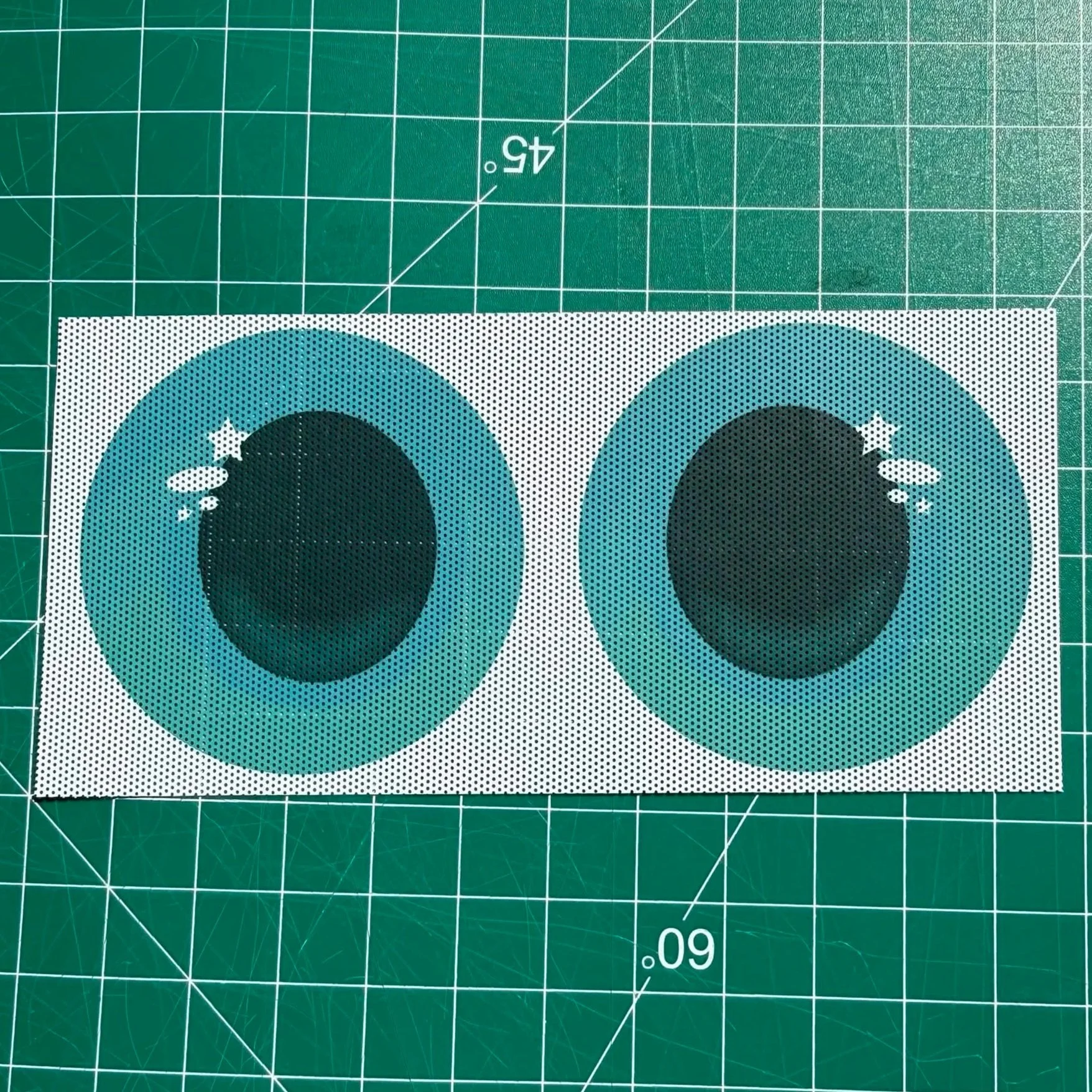 front+of+eyemesh.jpg