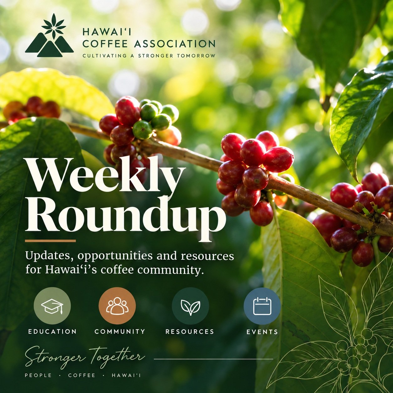 A few important things are happening across Hawai&lsquo;i&rsquo;s coffee community this week:

✍️ Grant Writing Workshop &ndash; Session 2
Join us Friday, September 18, for the next session in our grant writing series and build confidence around iden