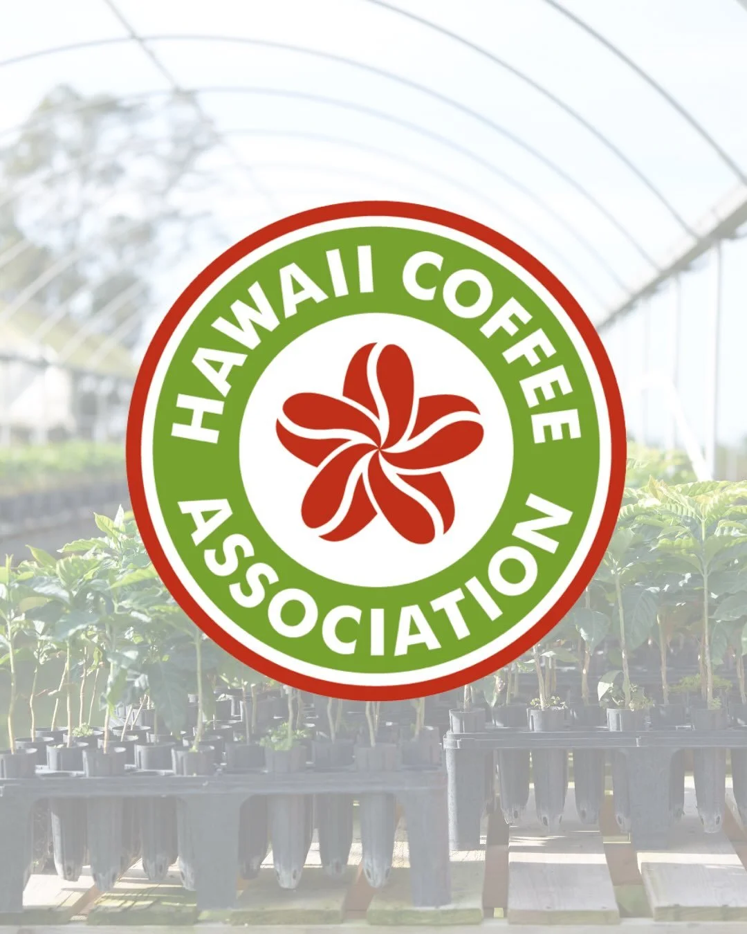 Who is the Hawai&rsquo;i coffee Association?

We are a statewide industry association, working to strengthen Hawai&rsquo;i coffee by connecting people, sharing knowledge, supporting quality, representing industry needs, and creating opportunities for