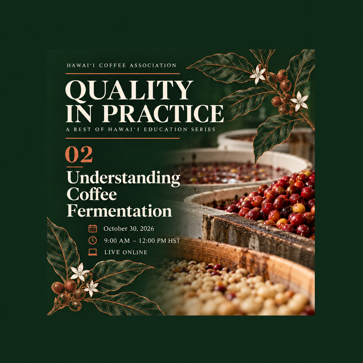 Understanding Coffee Fermentation