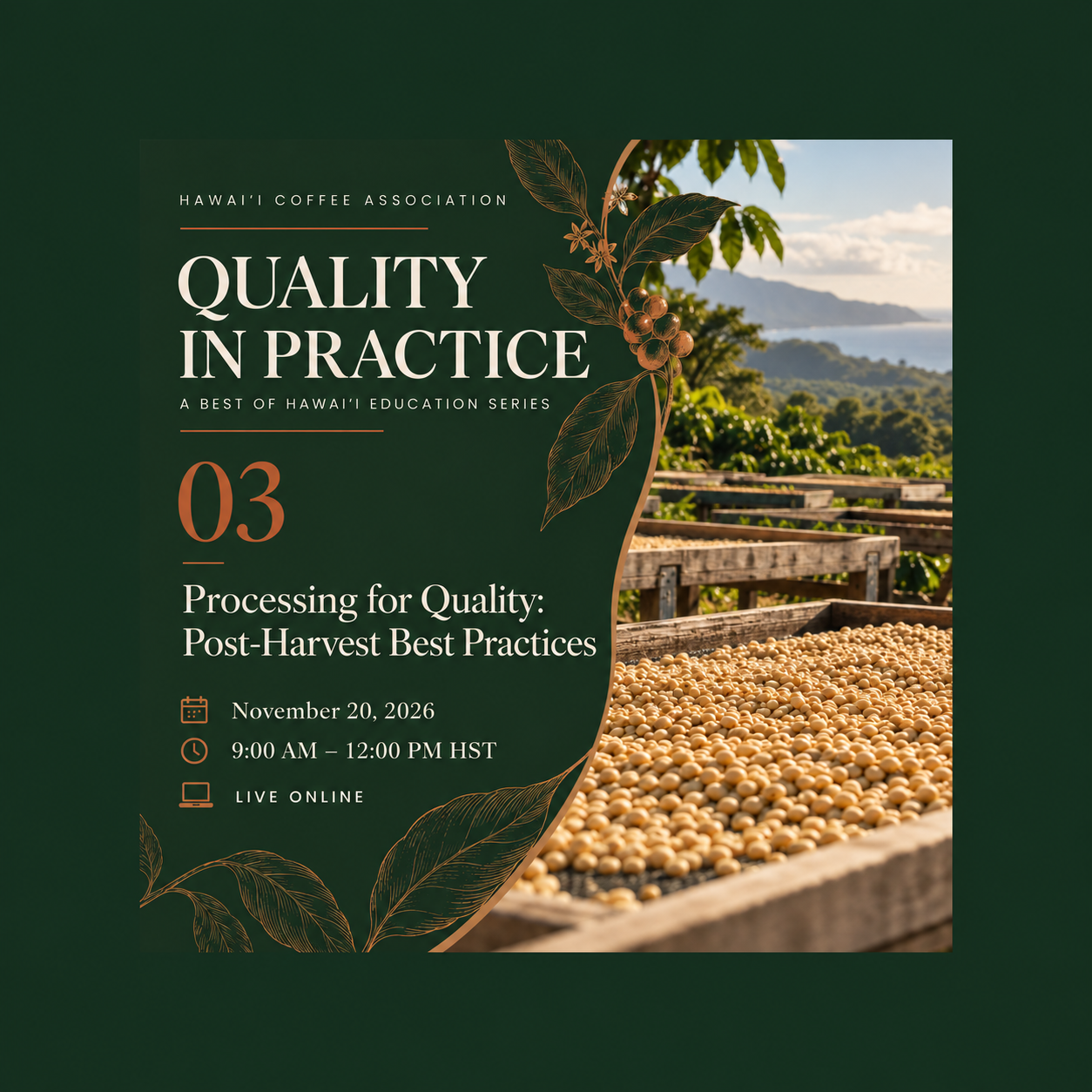 Processing for Quality: Post-Harvest Best Practices