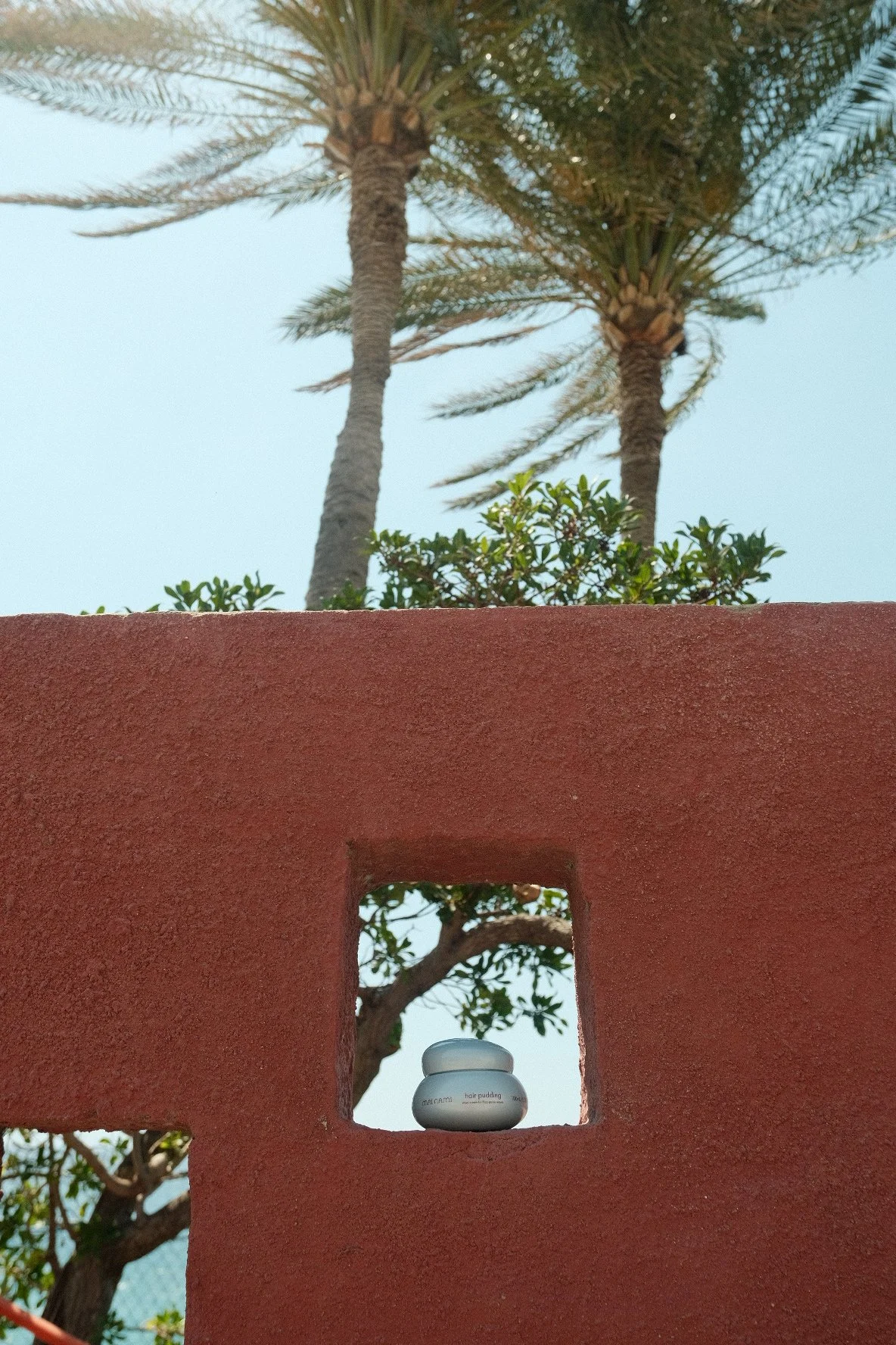 DSCF8385.JPG