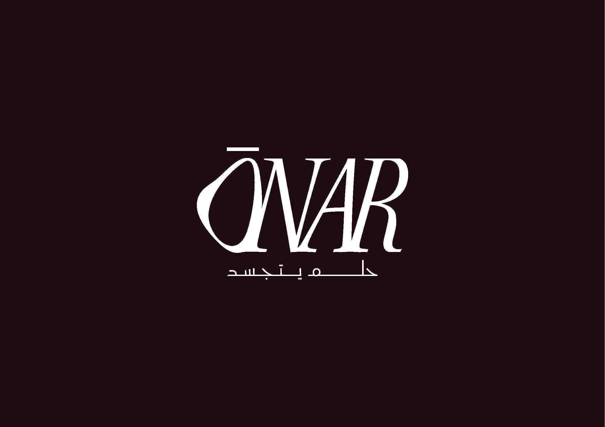 Onar_VisualToolkit_Page_02.jpg