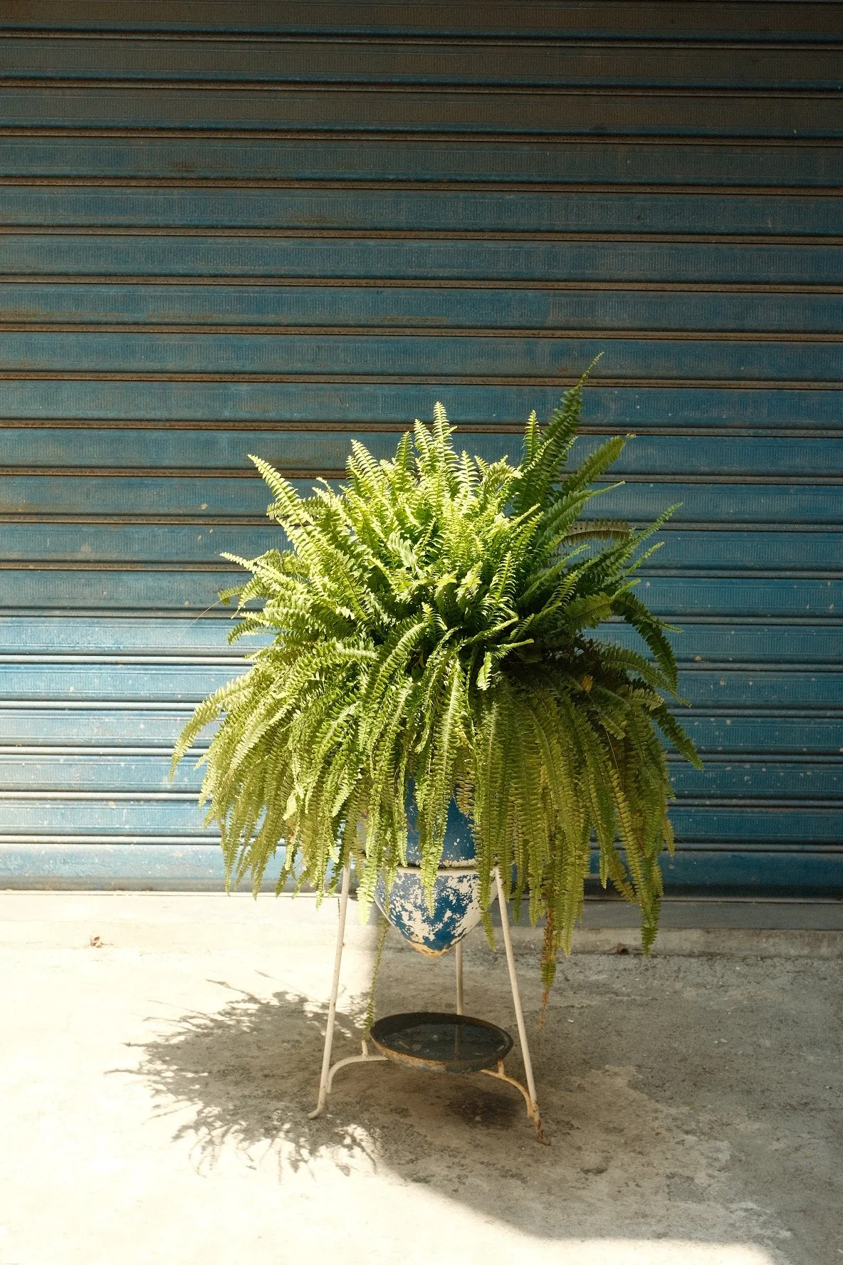 DSCF8310.JPG