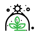 Green cannabis leaf symbol with a crown underneath