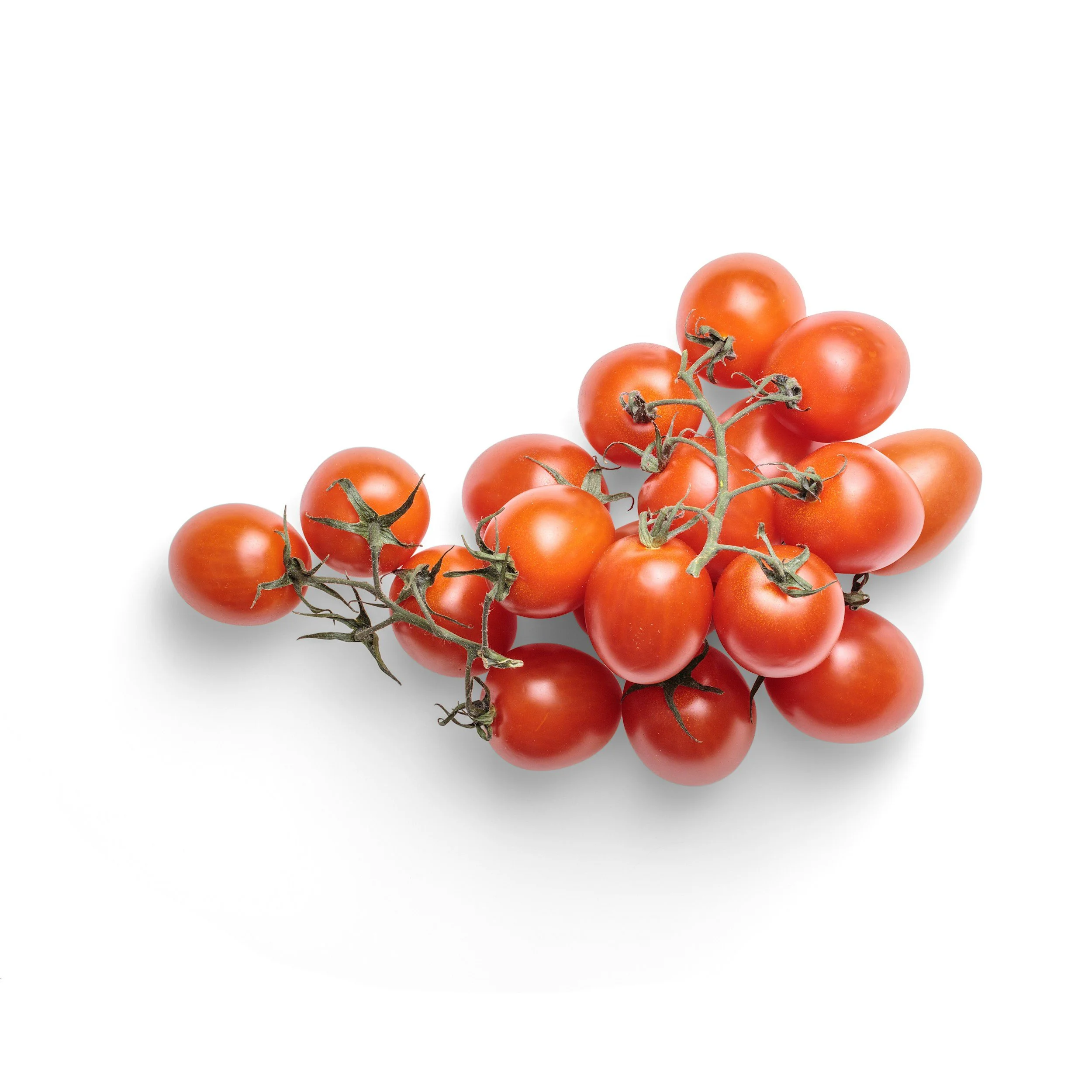 A bunch of ripe, red cherry tomatoes on a vine, resting on a white background.